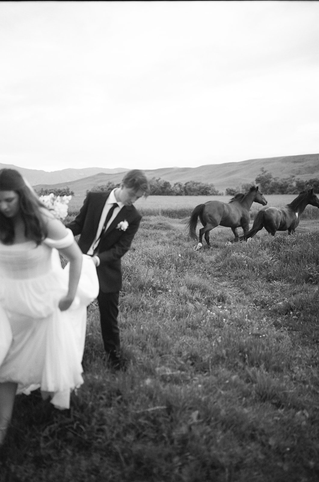 A black and white photo of a couple dressed in formal wedding attire walking through a grassy field, with rolling hills and three running horses in the background.