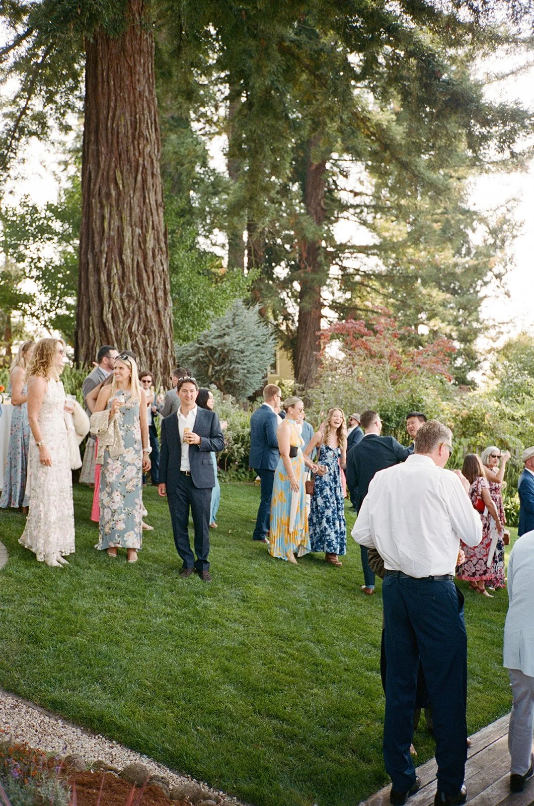 People dressed in formal and semi-formal attire gathered outdoors in a lush garden with large trees, enjoying a social event or celebration during the daytime.