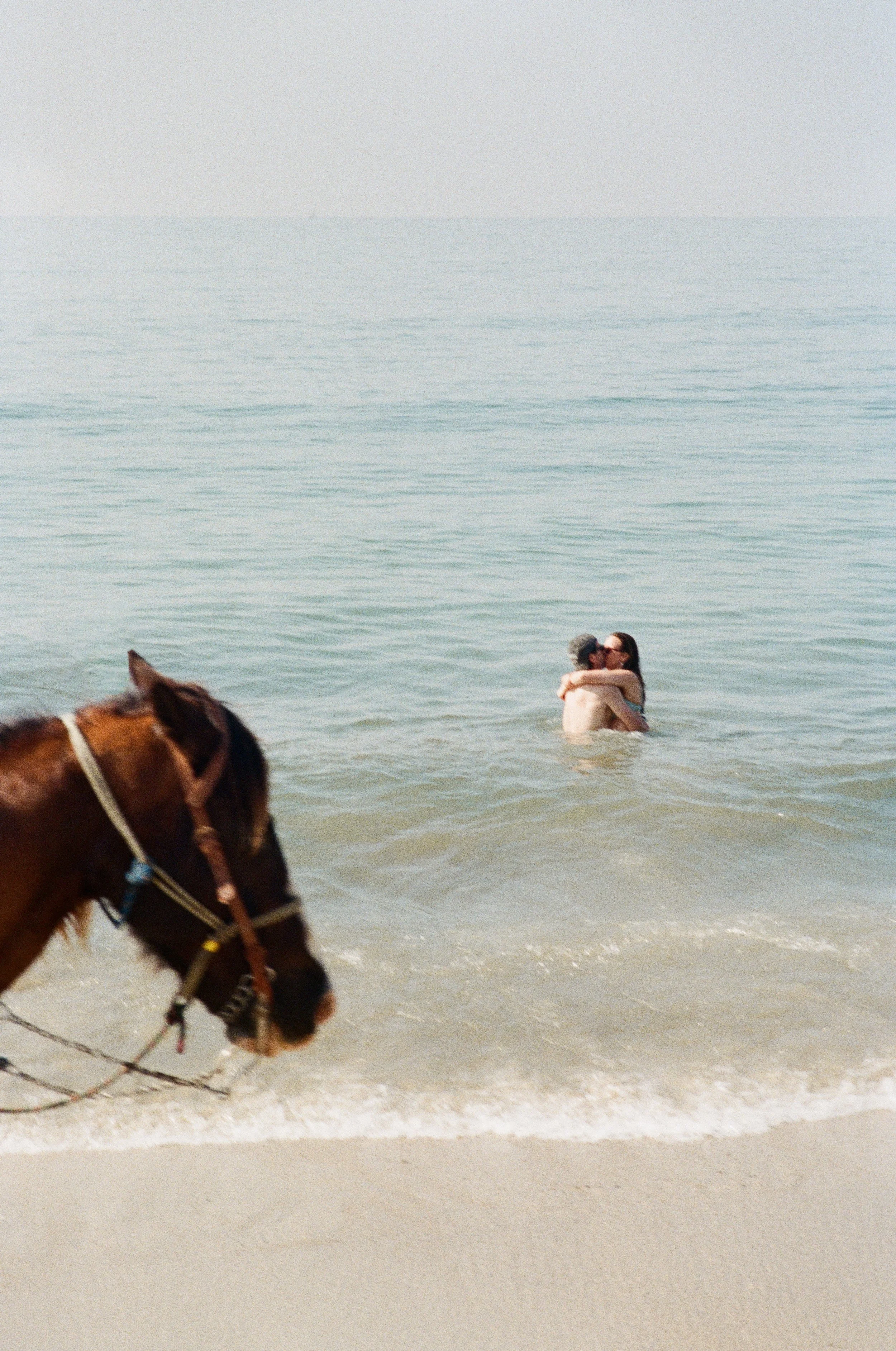 A couple embracing in the ocean near the shore, with a horse in the foreground and being held on a lead rope, at the beach on a clear day.