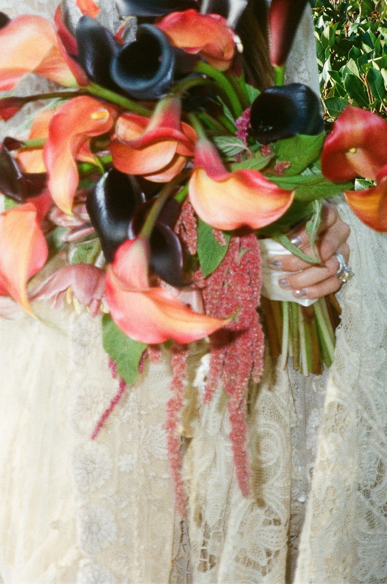 a+t bride and groom_17.jpg