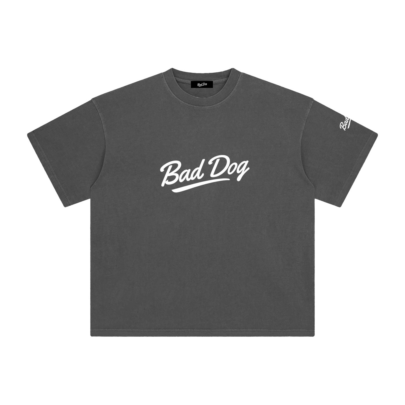OG Oversized Washed T-Shirt