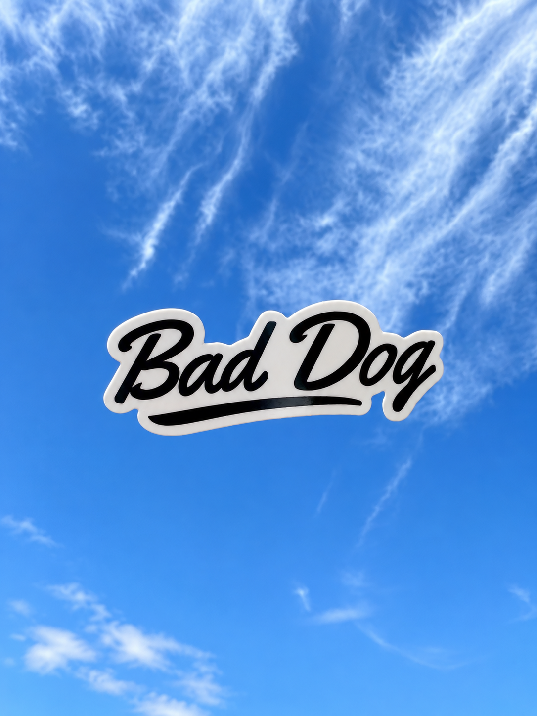 EE26C8C2-64C5-404C-976C-2910EB51C88C.PNG