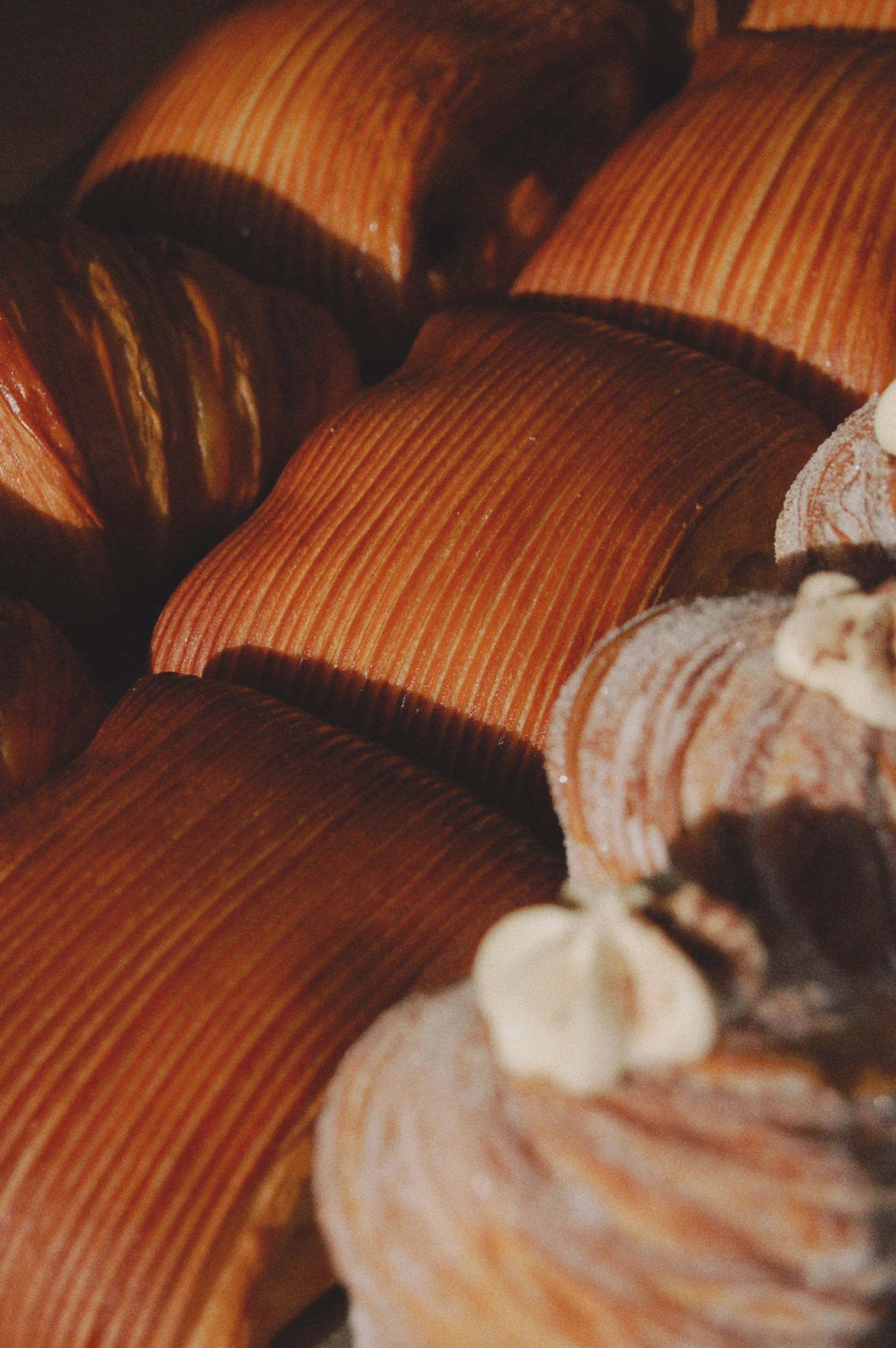 Close-up of coil springs, possibly a mattress or sofa, showing circular metal loops with a wooden or plastic surface.