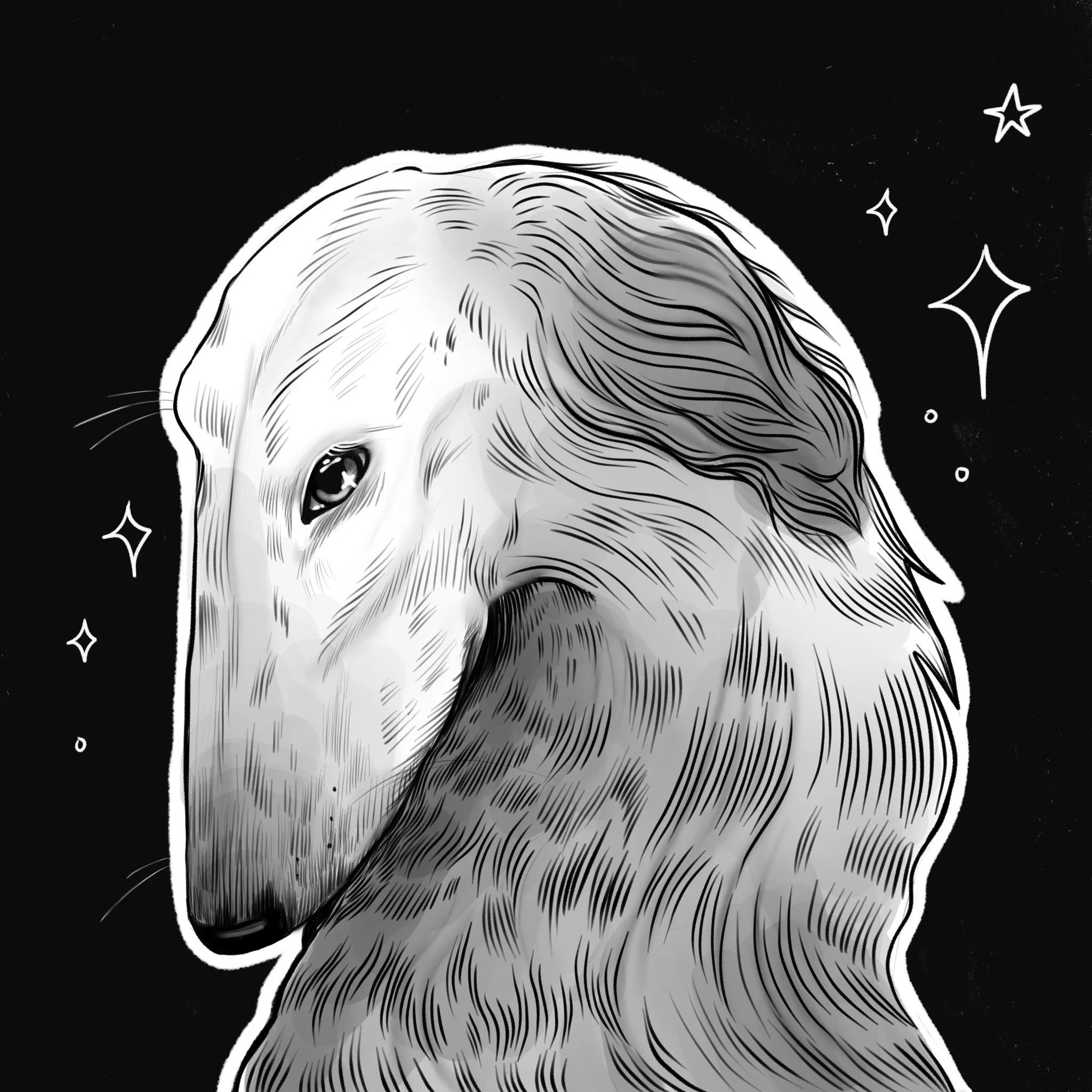 Pet portrait