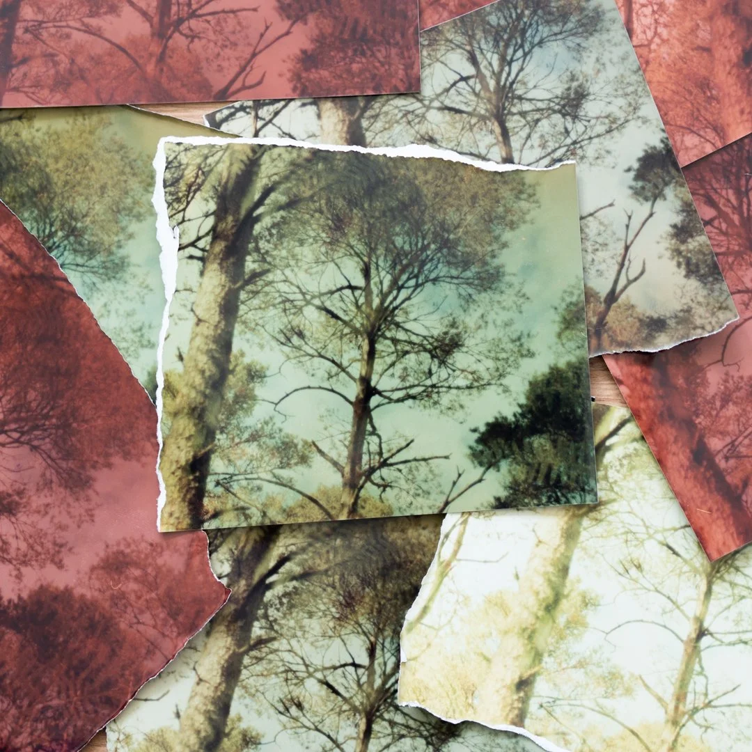 2026-Print-TreesOfGreen-RoxannaBarry-9.jpg