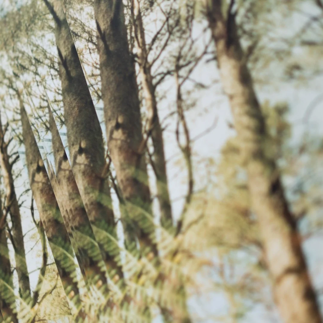 2026-Print-TreesOfGreen-RoxannaBarry-6.jpg
