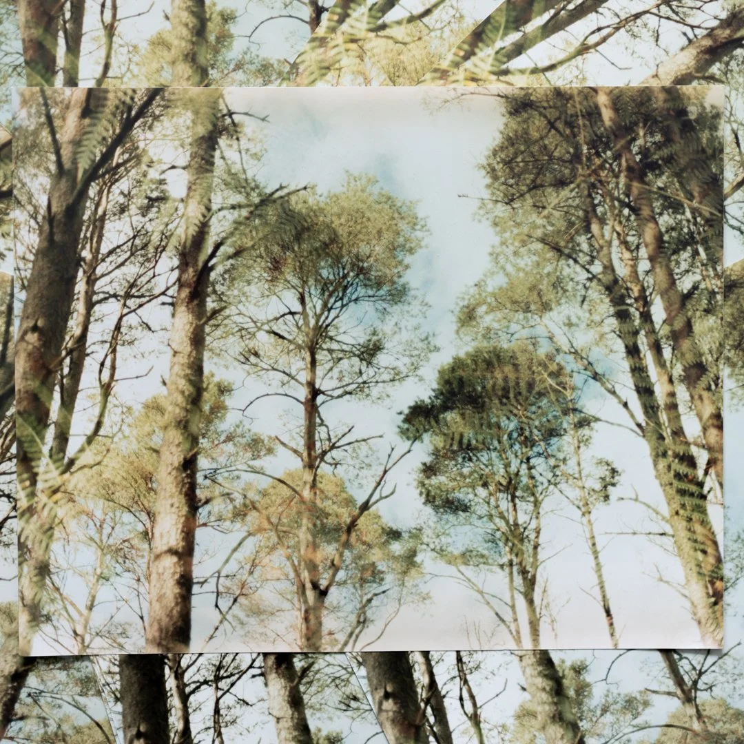 2026-Print-TreesOfGreen-RoxannaBarry-3.jpg