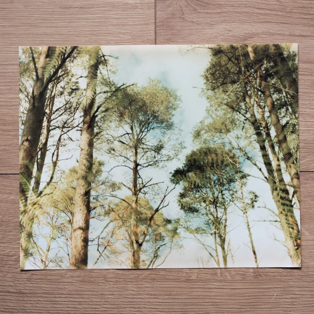 2026-Print-TreesOfGreen-RoxannaBarry-7.jpg