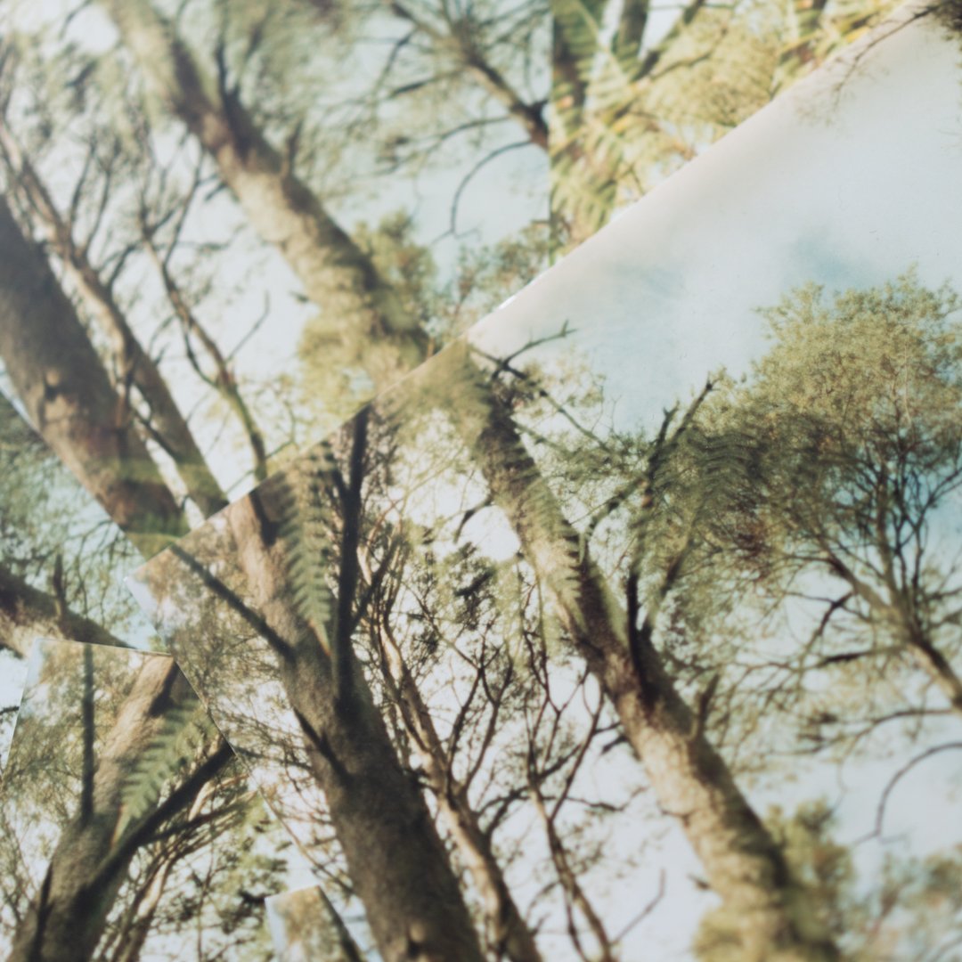 2026-Print-TreesOfGreen-RoxannaBarry-5.jpg