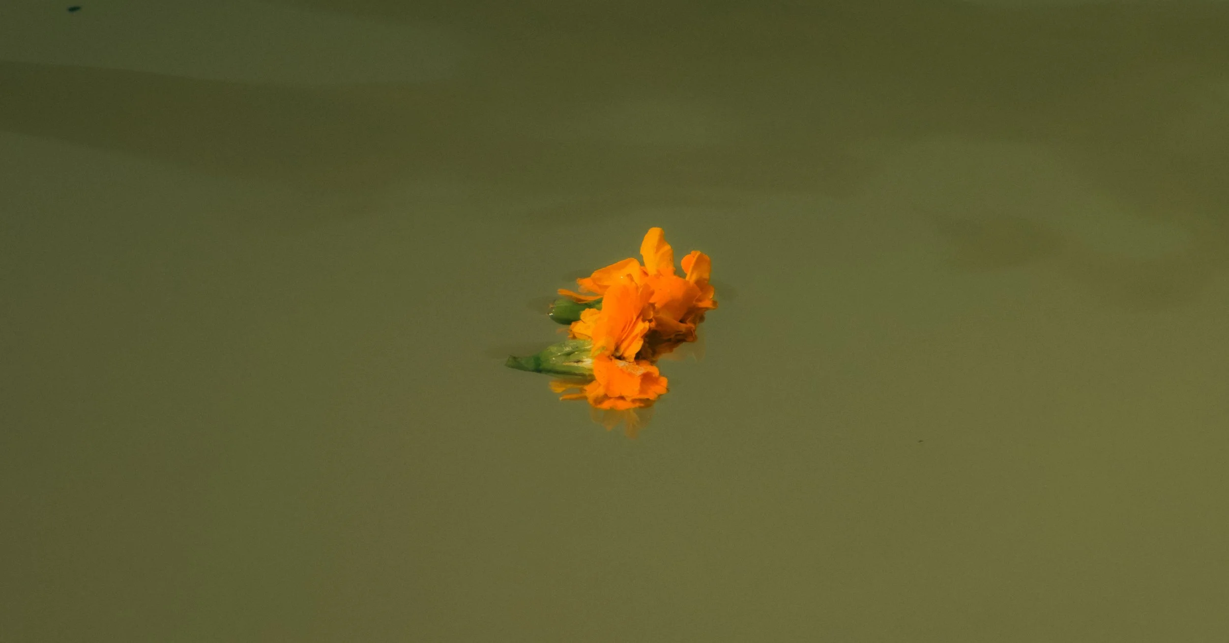 DSCF2593.JPG