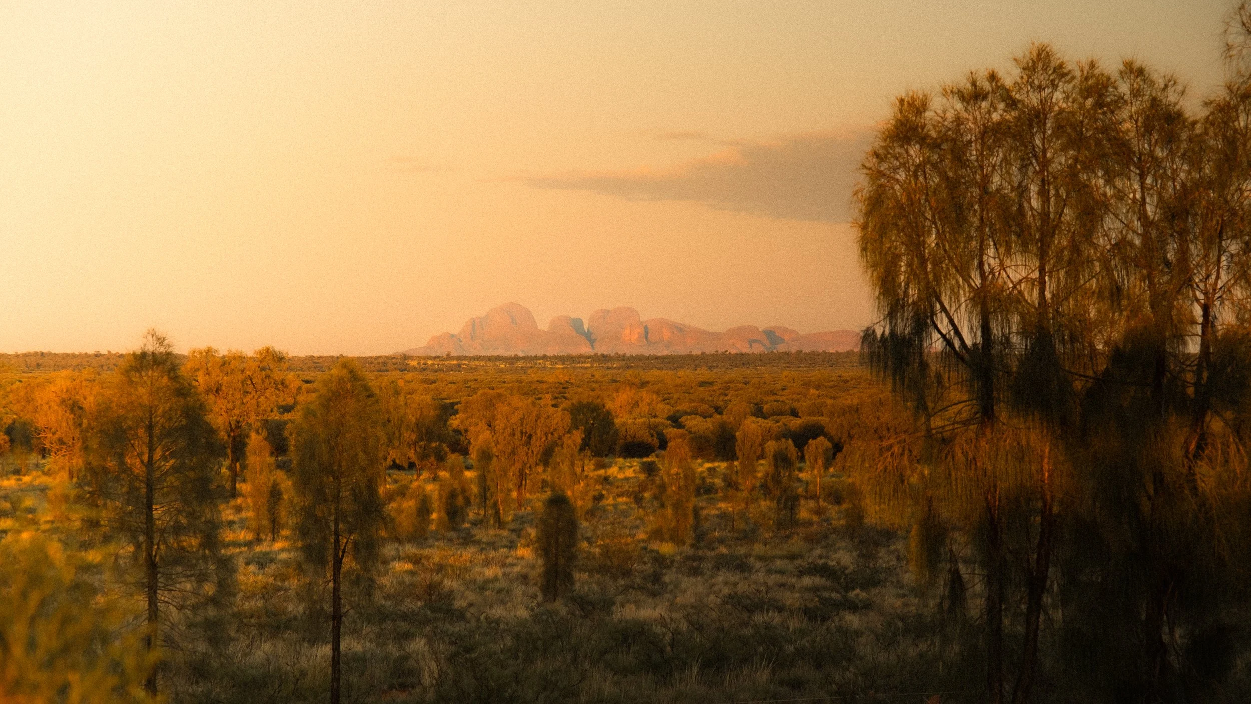 DSCF0406-2.jpg
