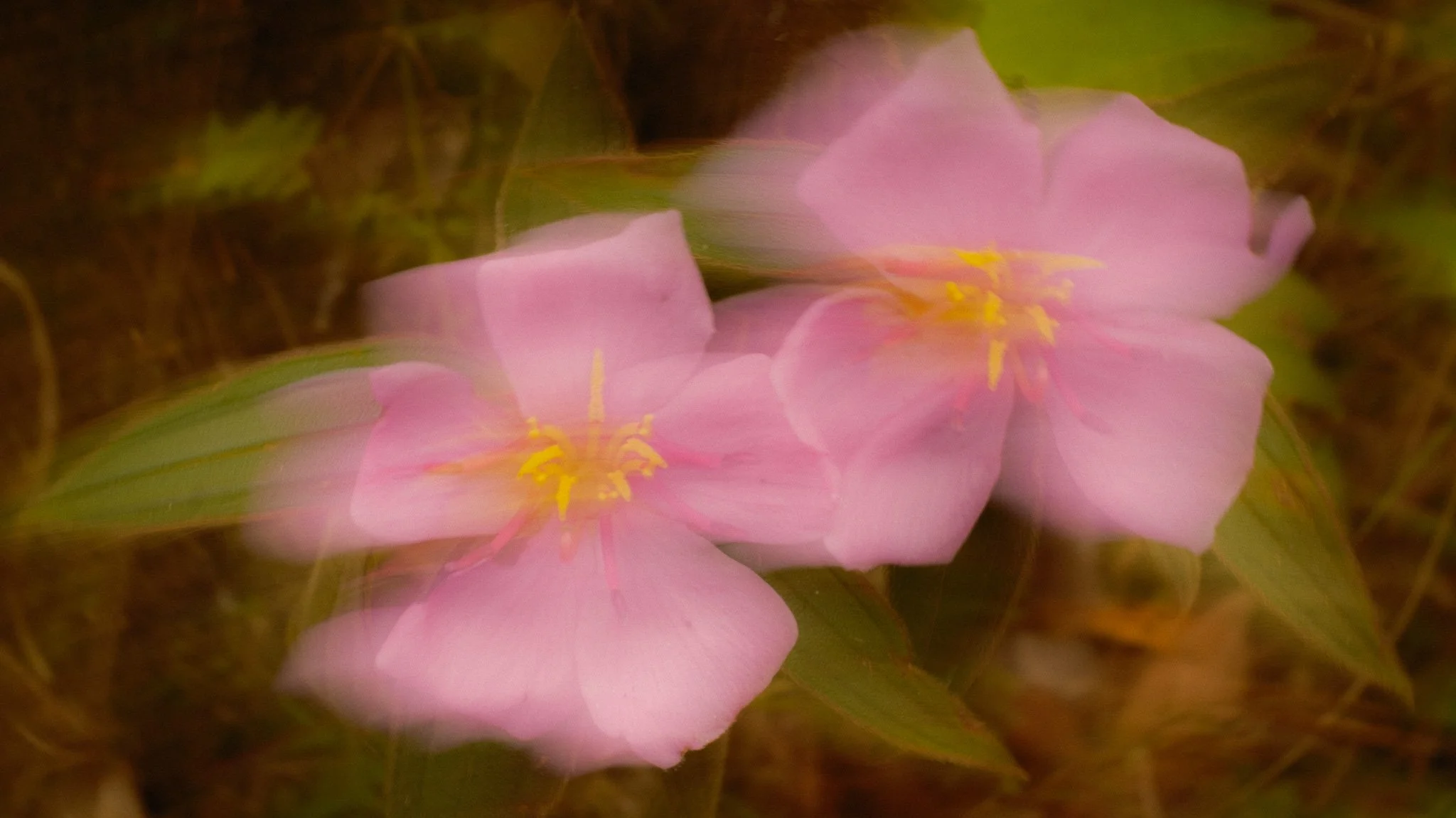 DSCF5142.jpg