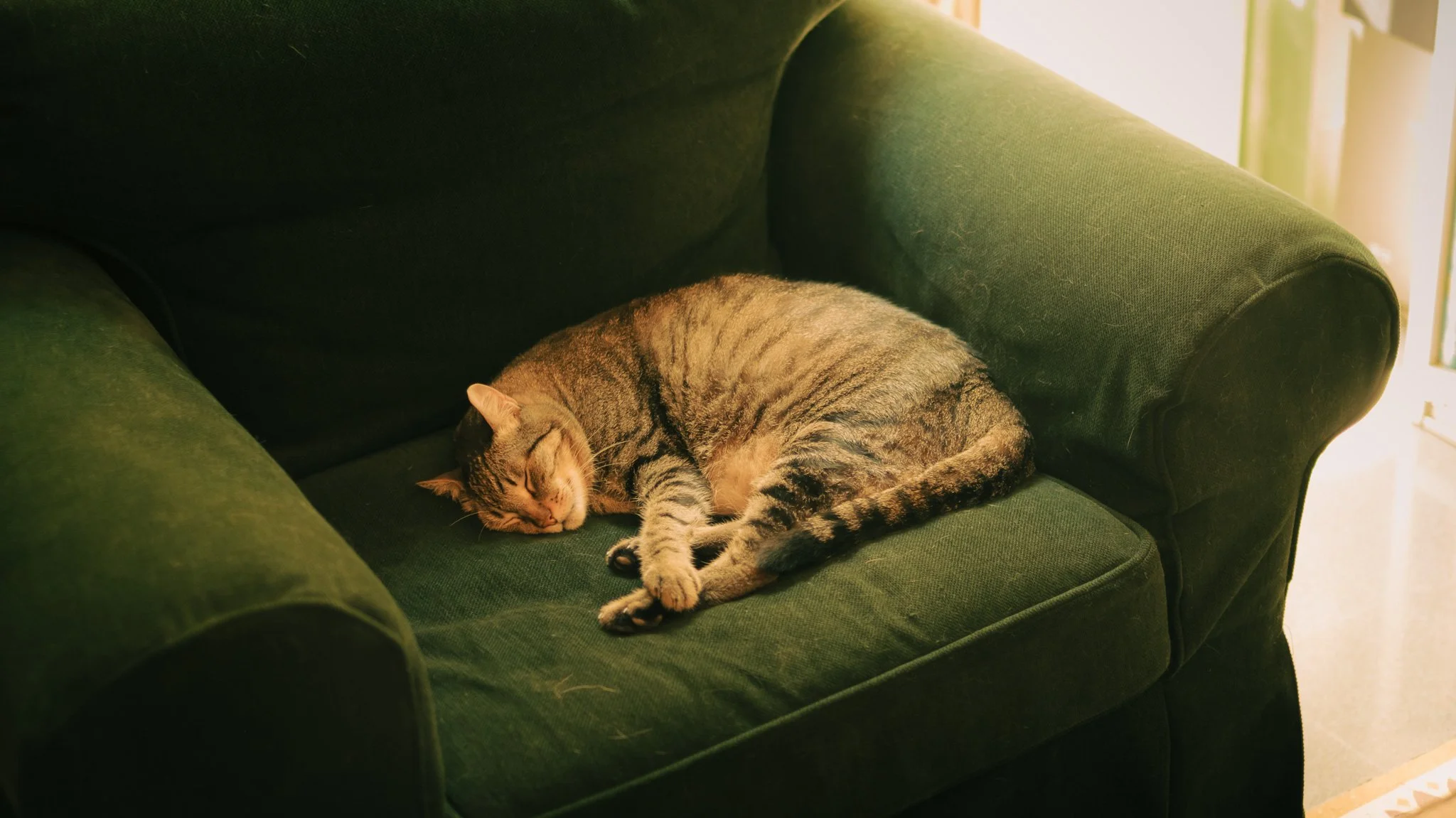 DSCF7513.jpg