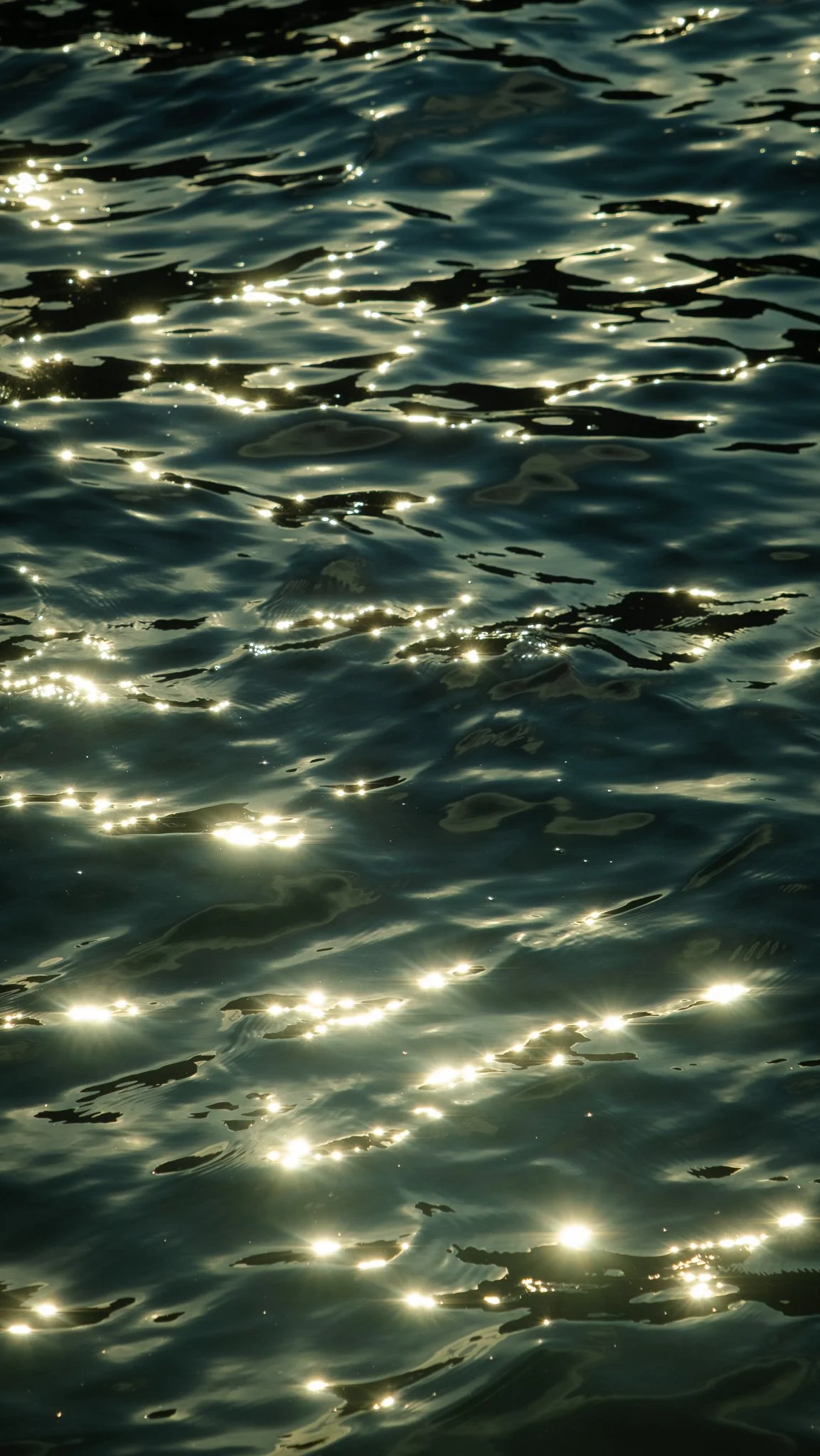 DSCF4625.jpg