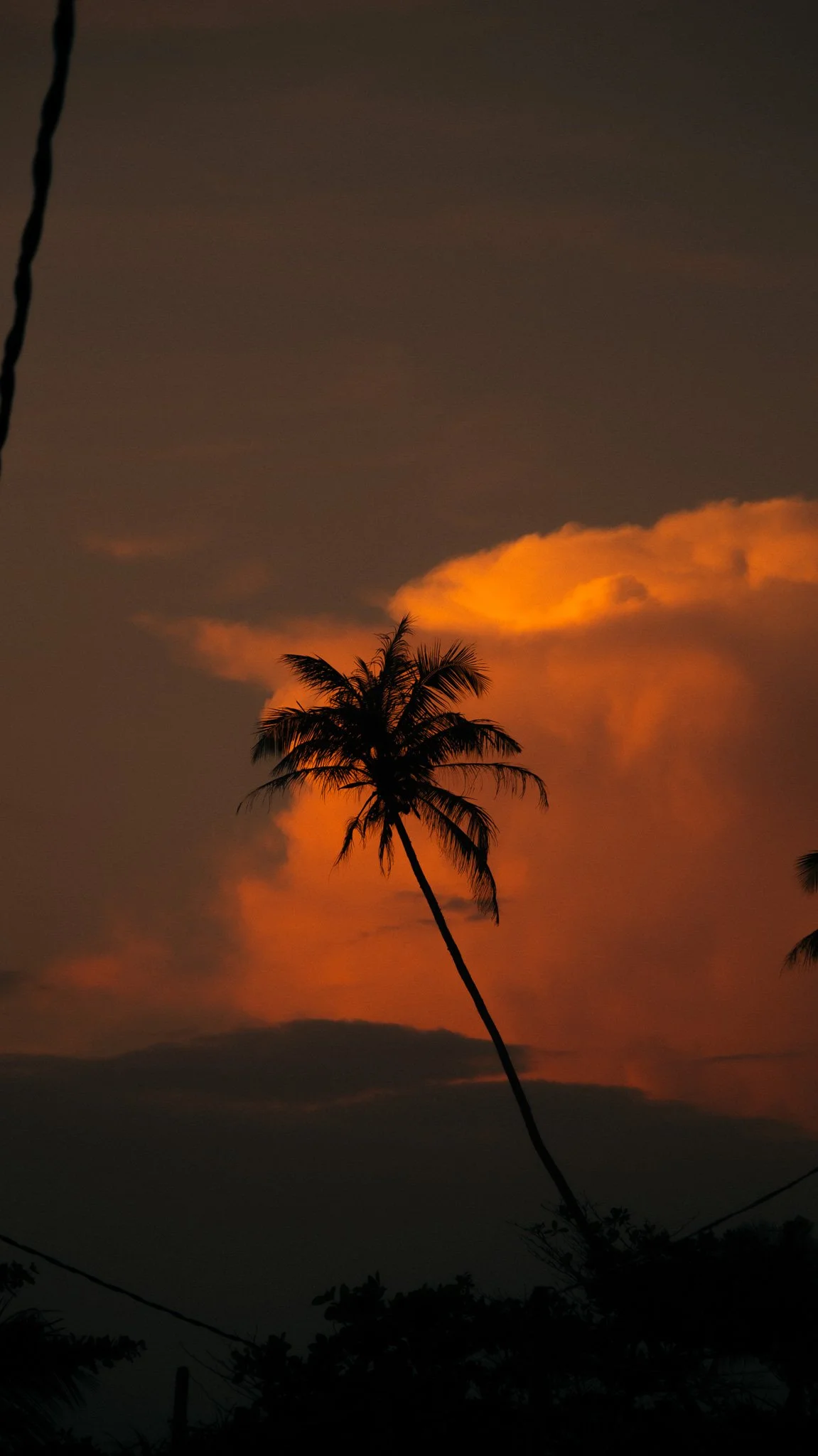 DSCF0891.jpg