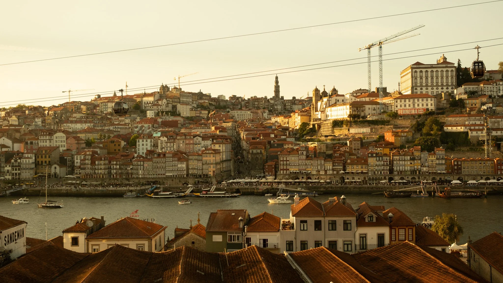 DSCF1359.jpg