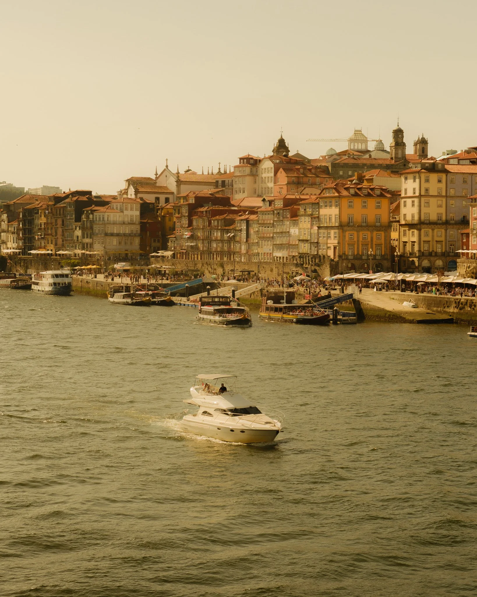 DSCF1270.jpg