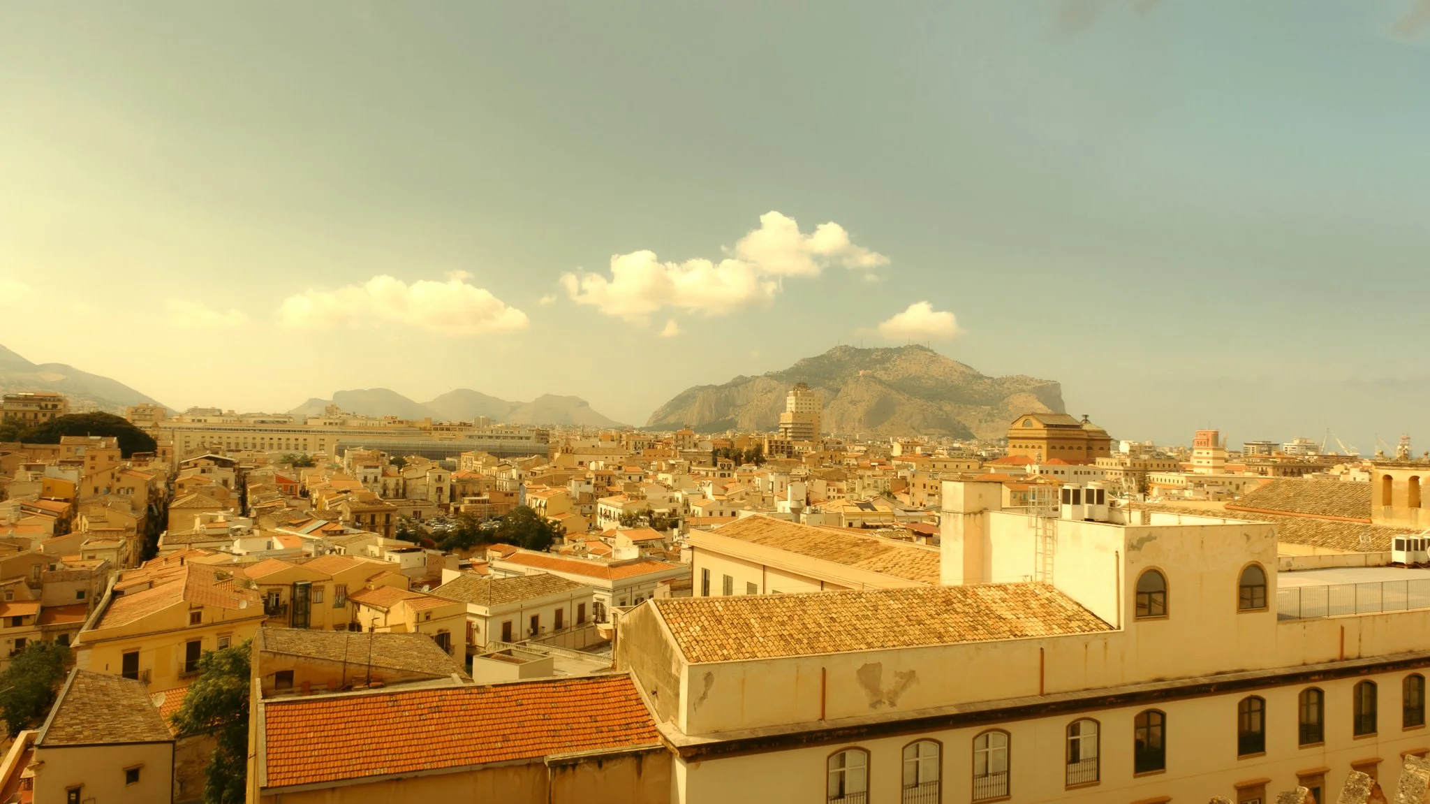 DSCF7097.jpg