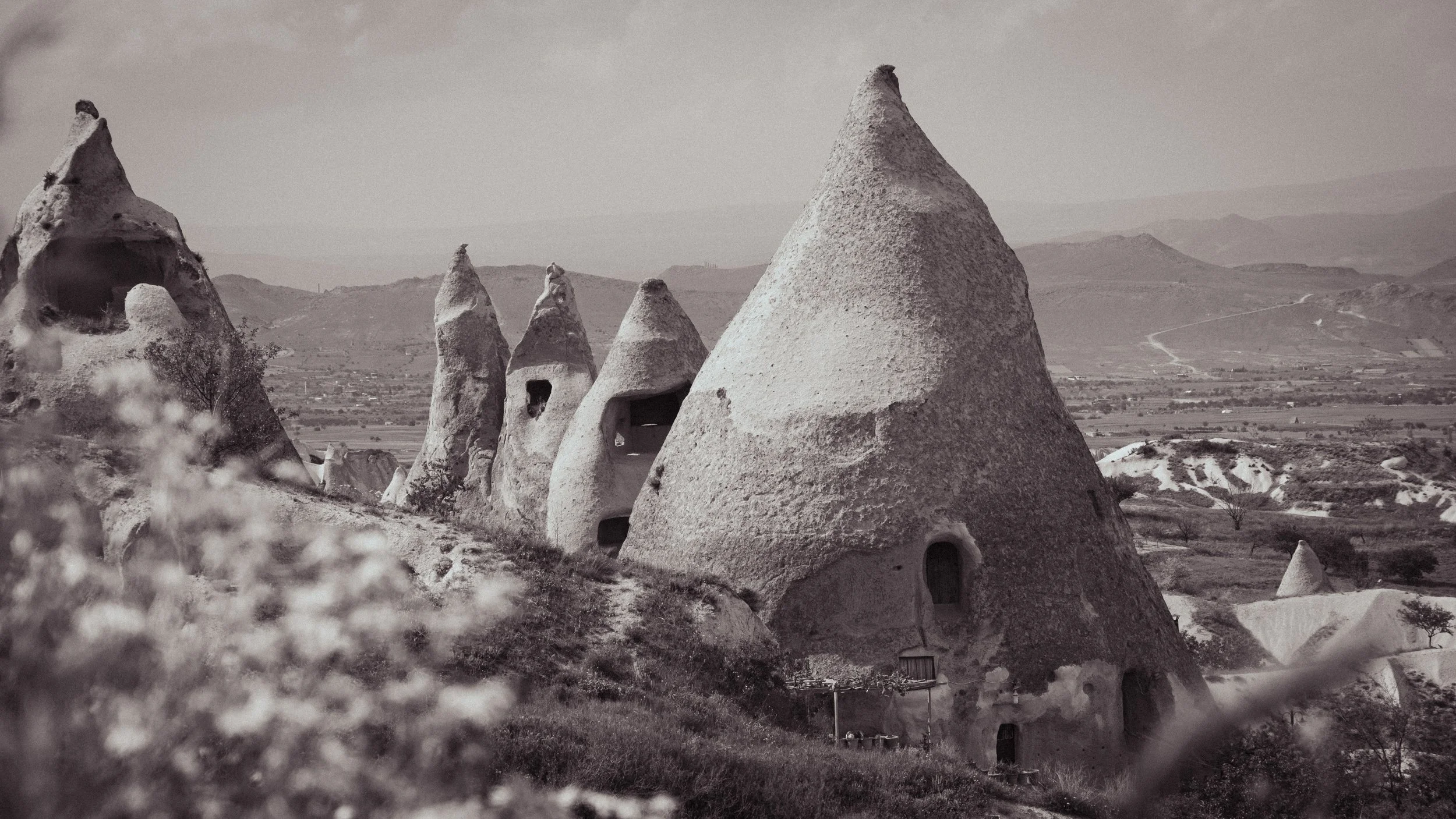 DSCF2080.JPG