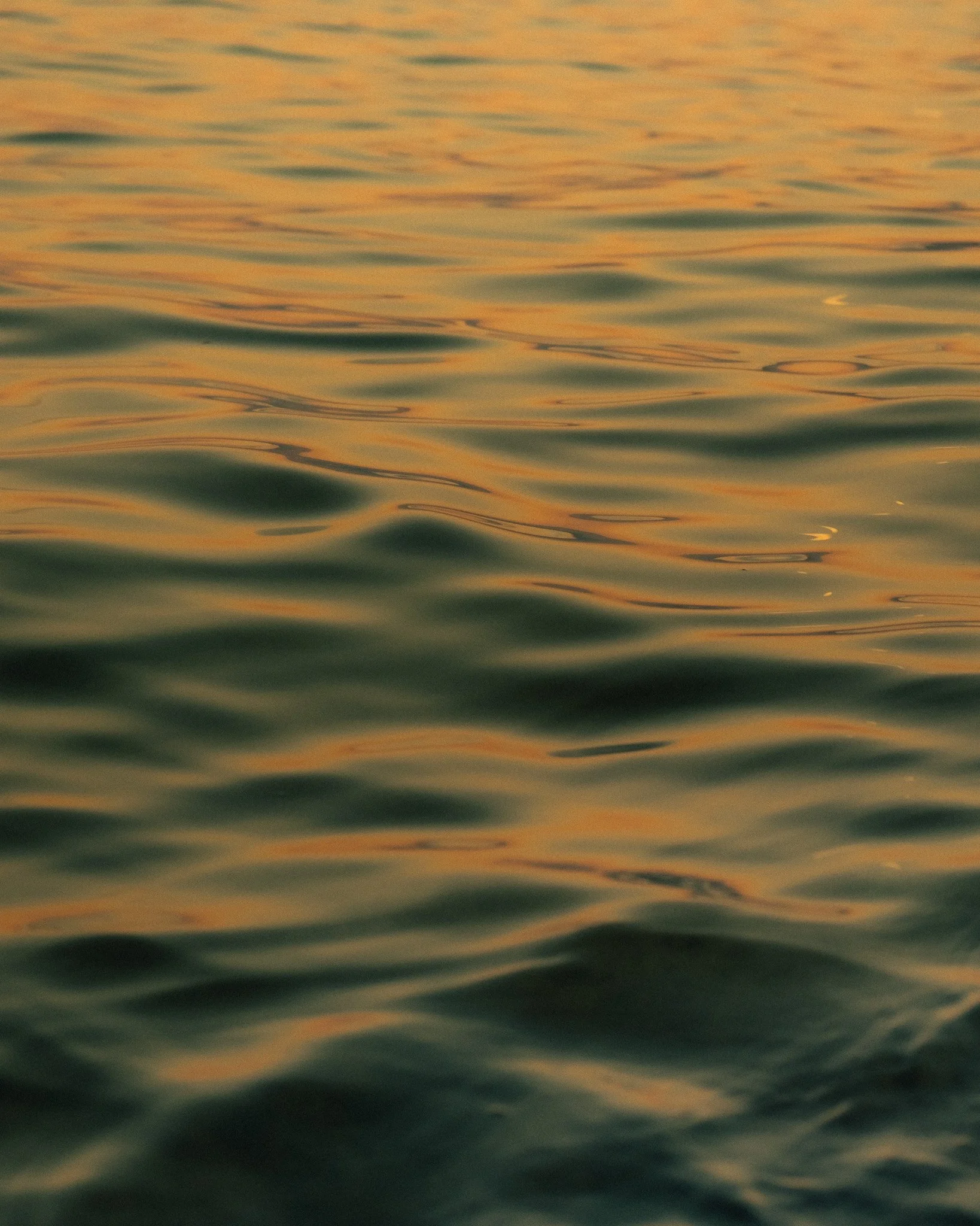 DSCF7652.jpg
