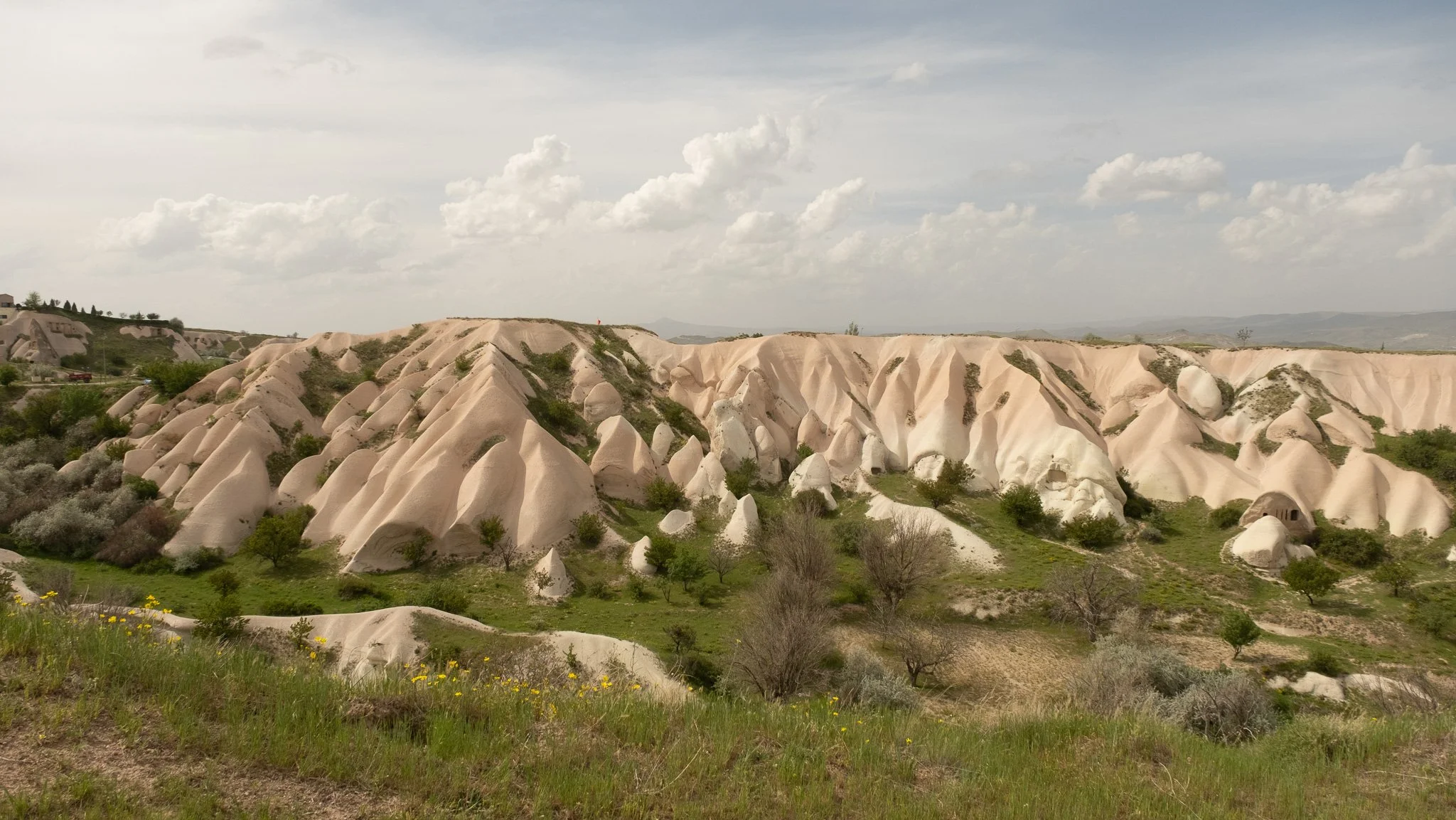 DSCF2051.jpg