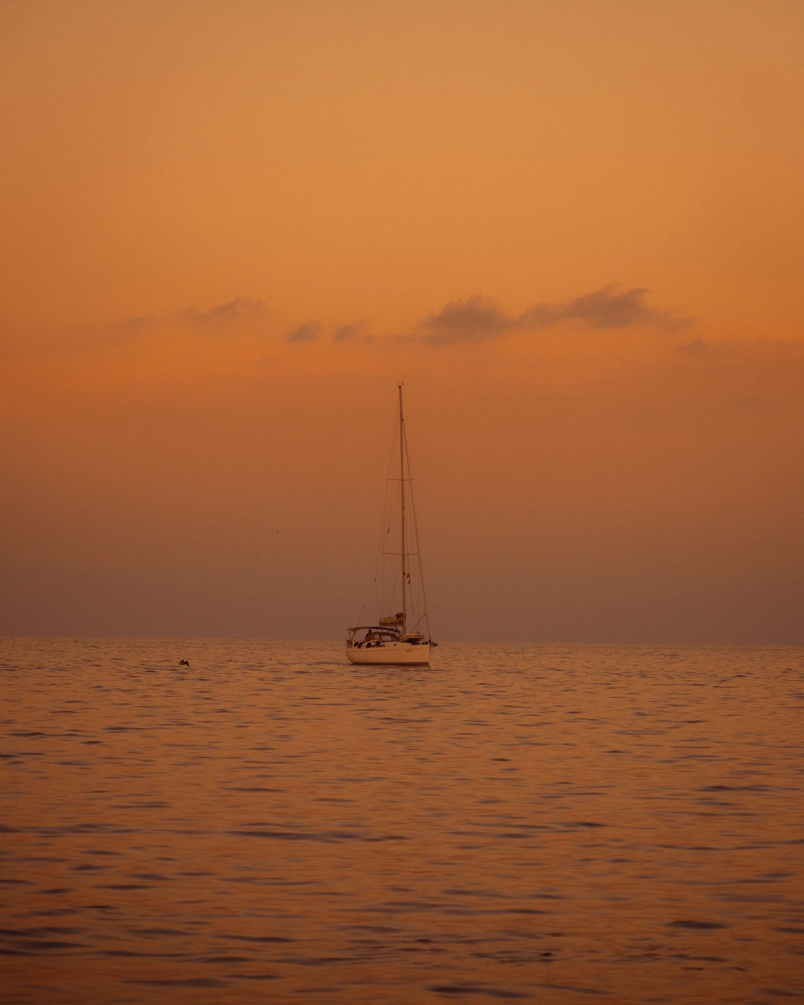 DSCF7657.jpg