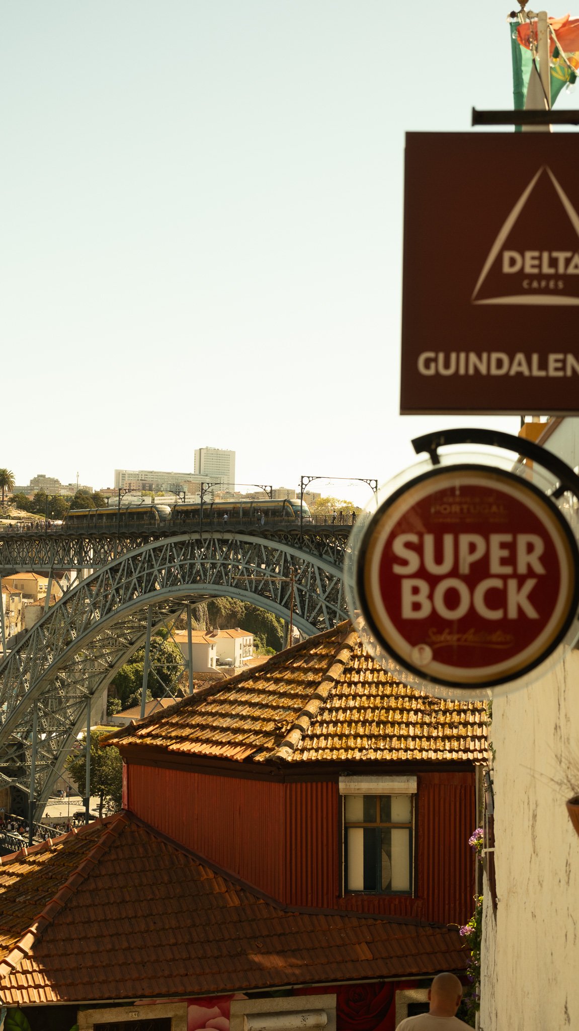 DSCF1541.jpg