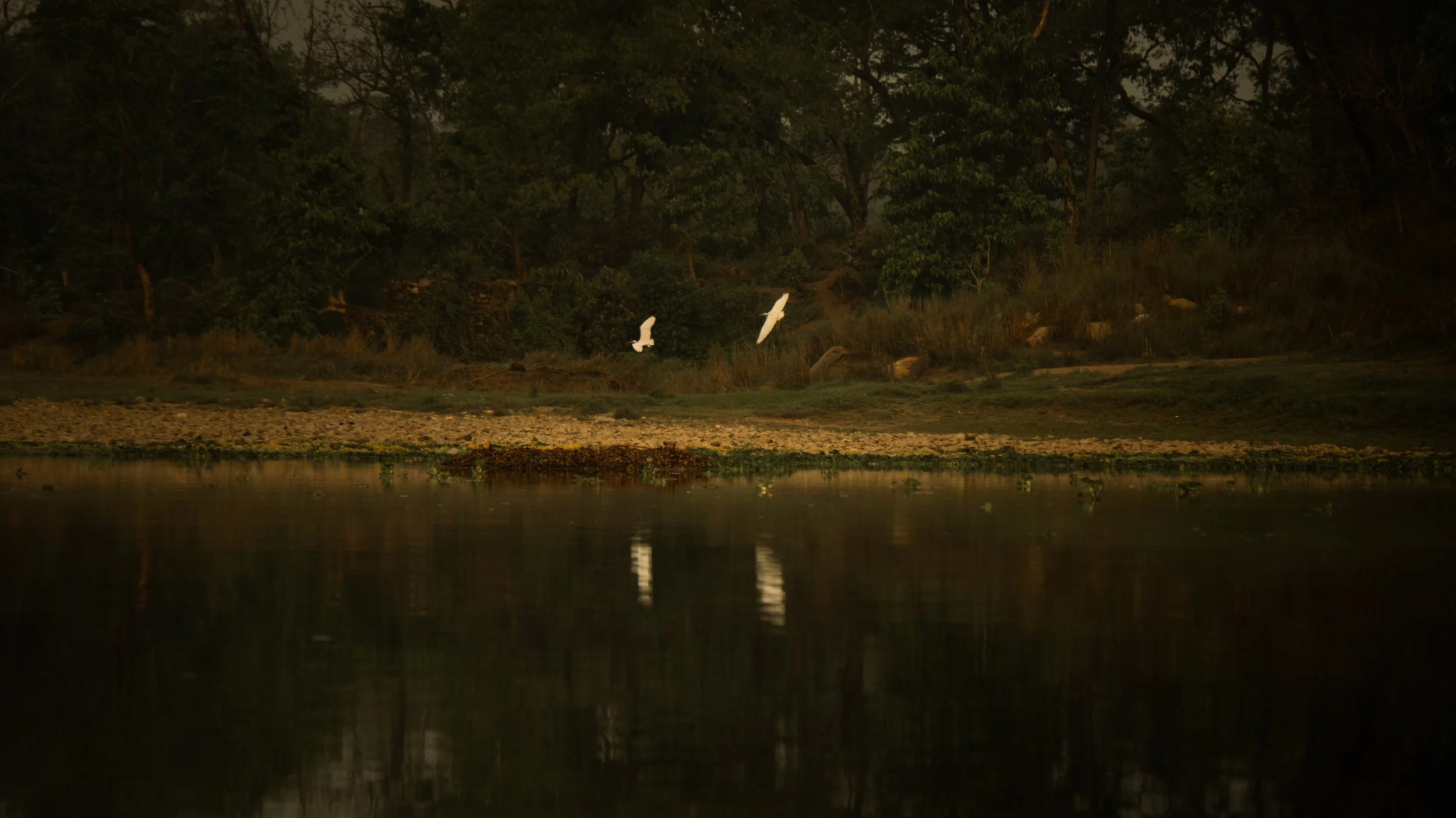DSCF3224.JPG