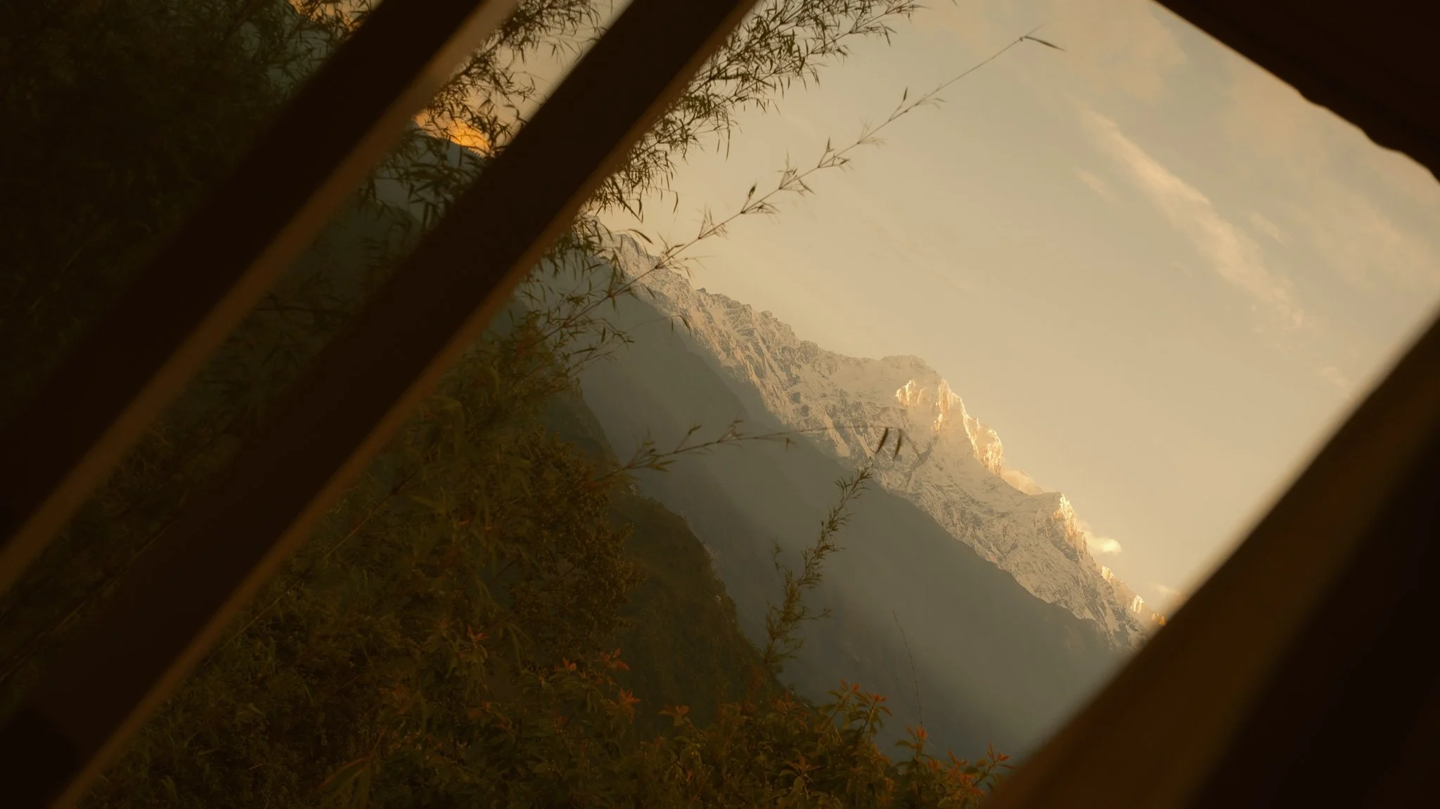 DSCF4917.jpg