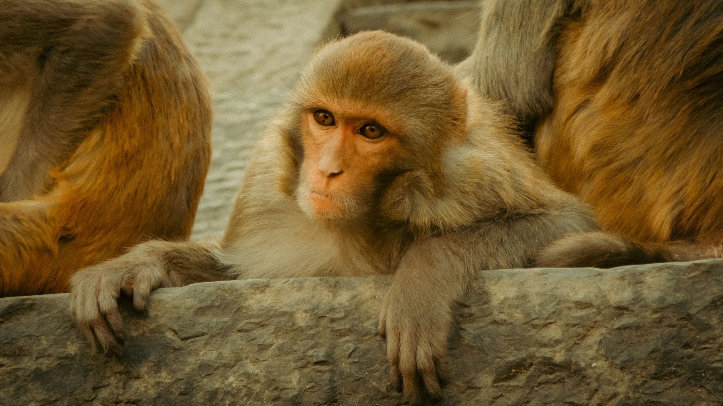 DSCF3444.JPG