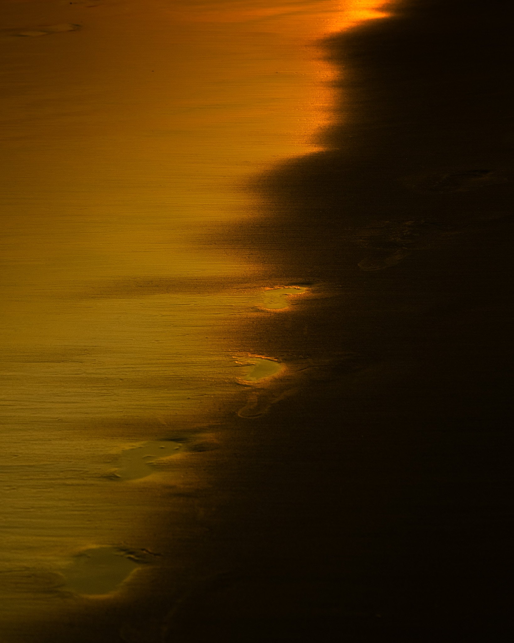 DSCF0863.jpg