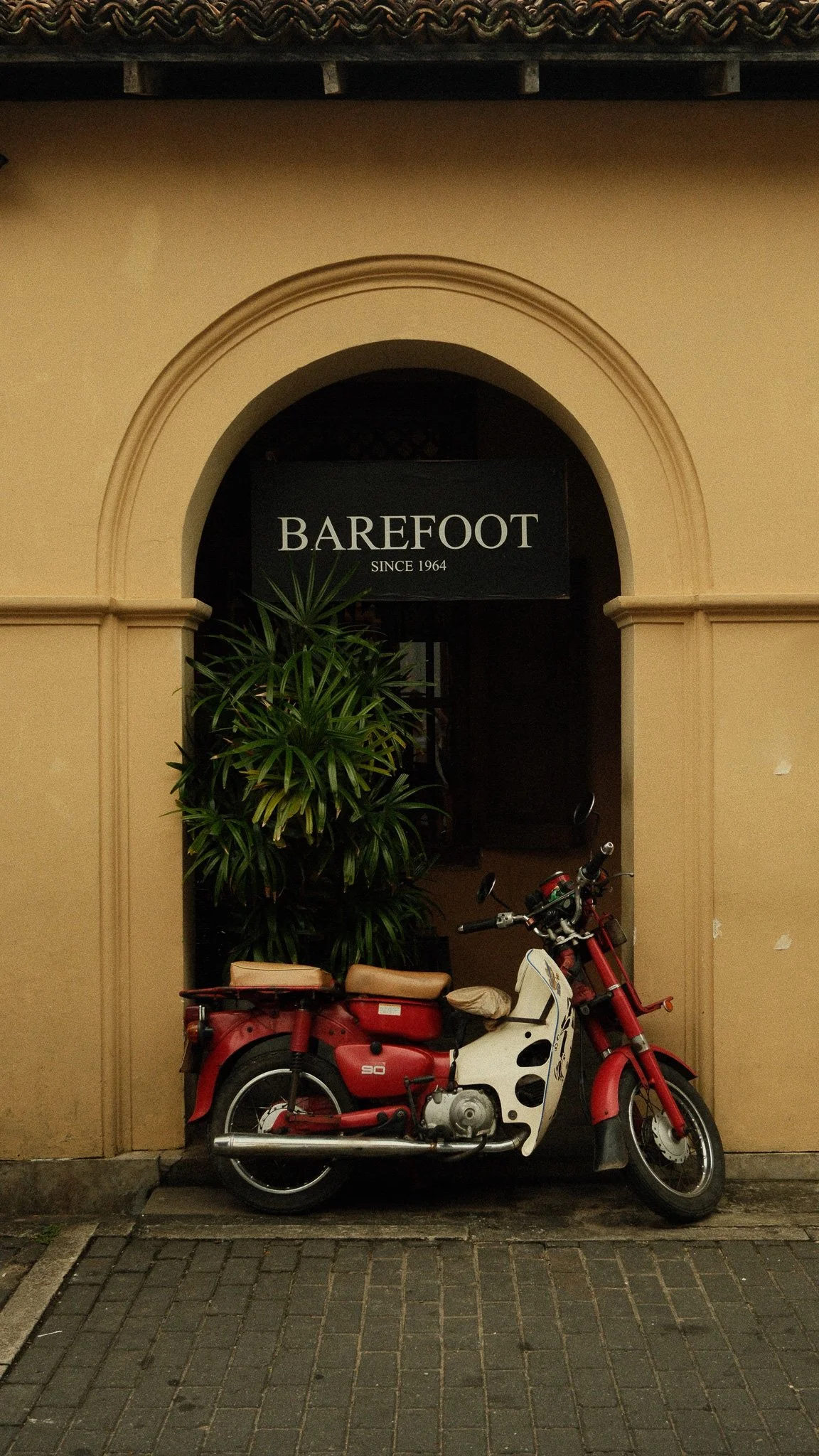 DSCF0470.jpg