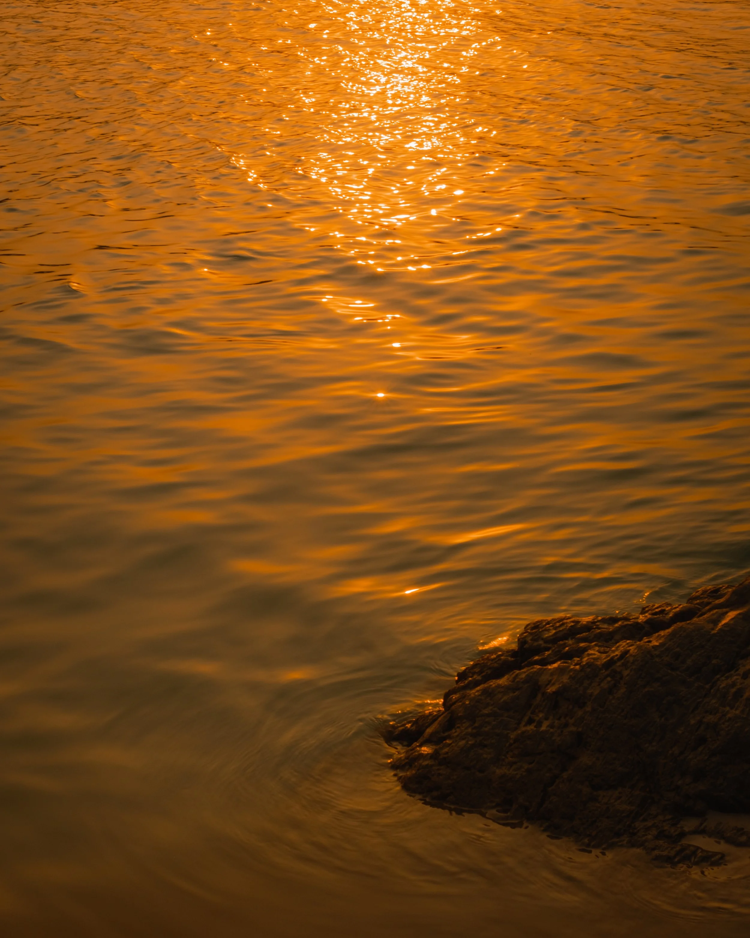DSCF2891.JPG