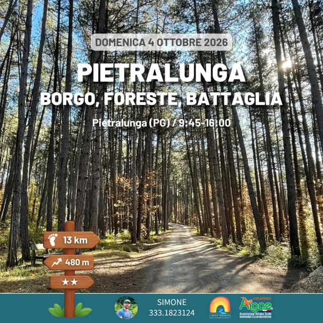 Pietralunga: il borgo, le foreste, la battaglia