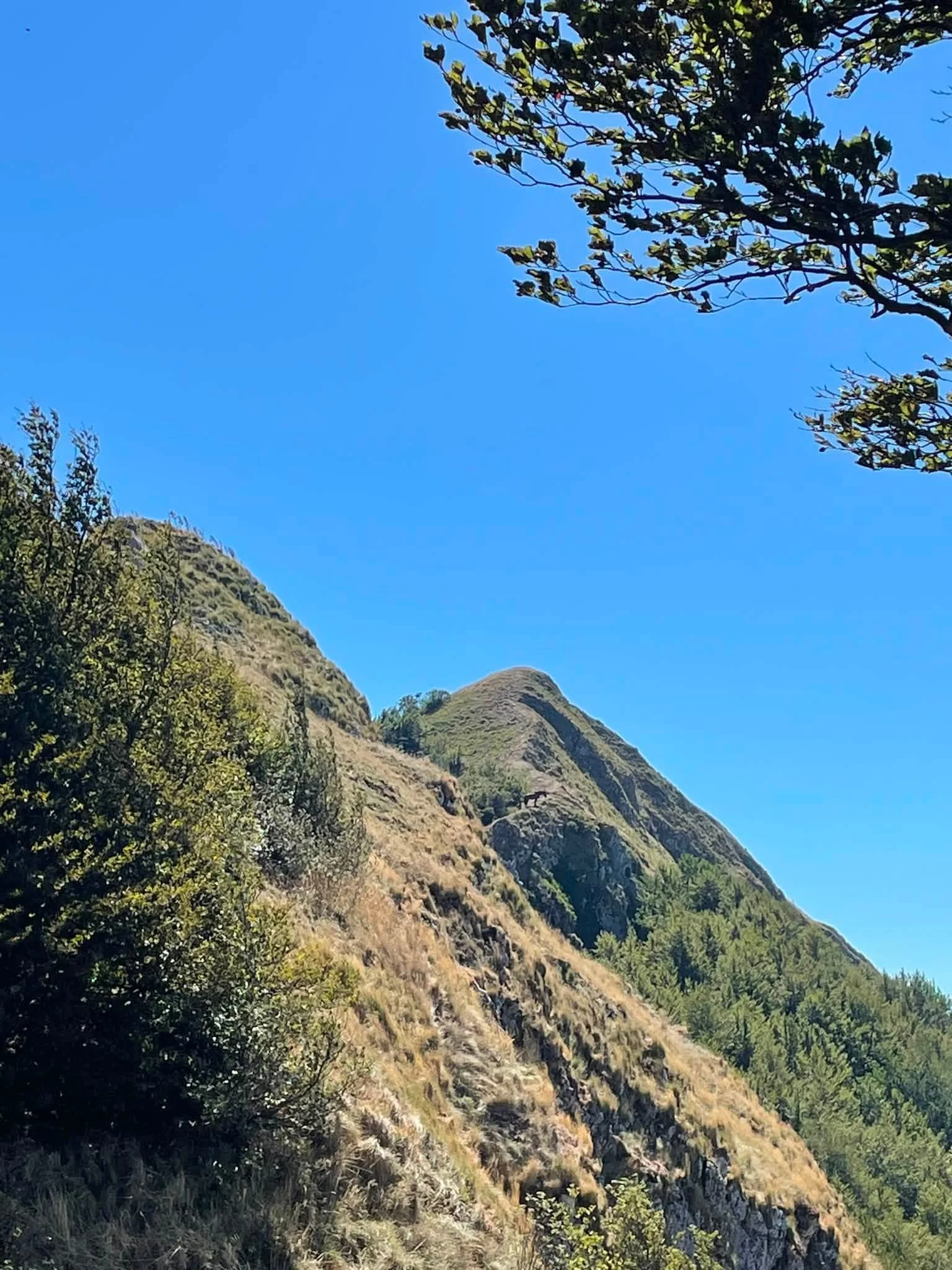Anello Monte Catria e Balze degli Spicchi
