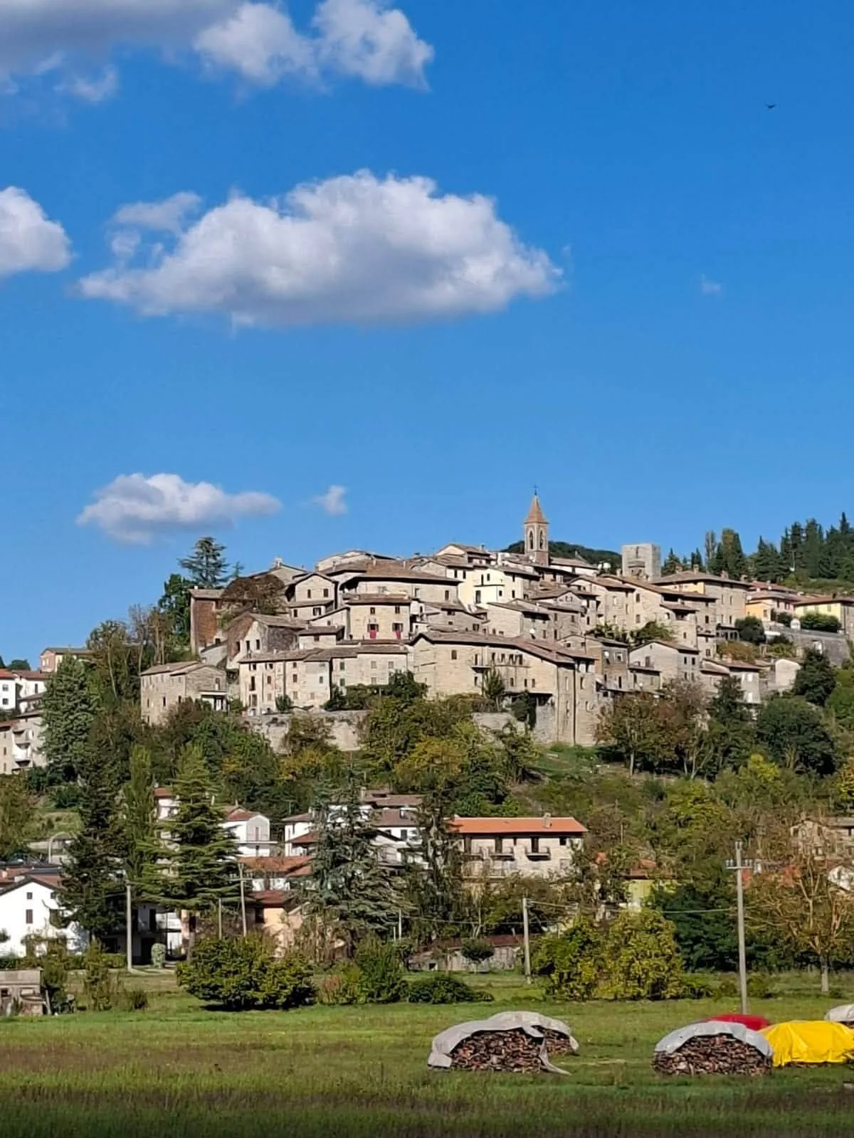 Pietralunga: il borgo, le foreste, la battaglia