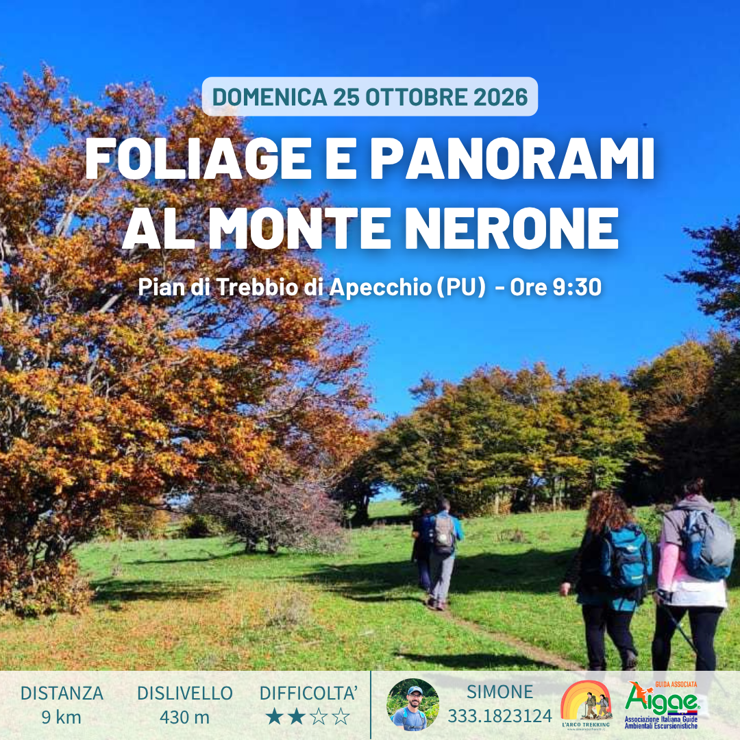 Foliage e Panorami al Monte Nerone