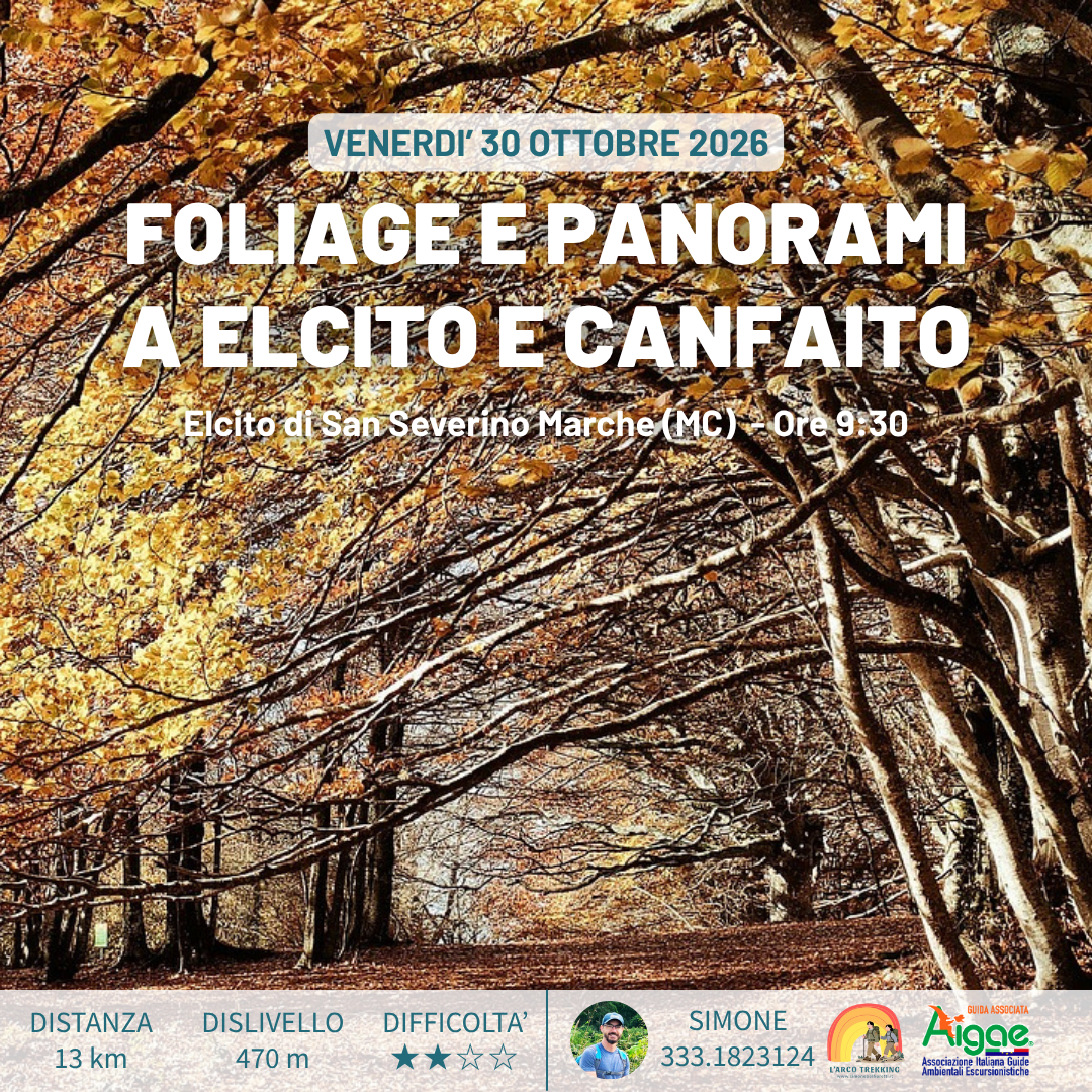 Foliage e Panorami a Elcito e Canfaito