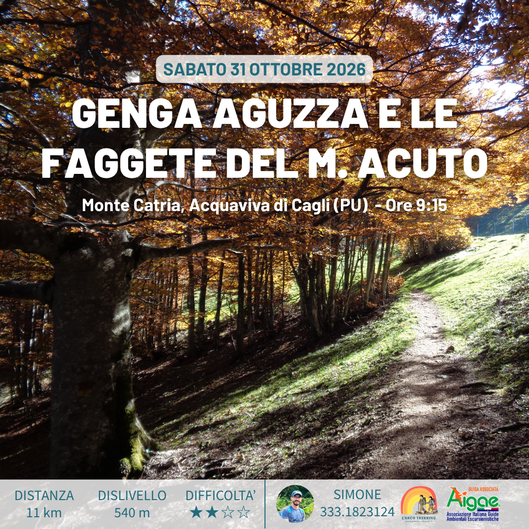 Genga Aguzza e le faggete del Monte Acuto