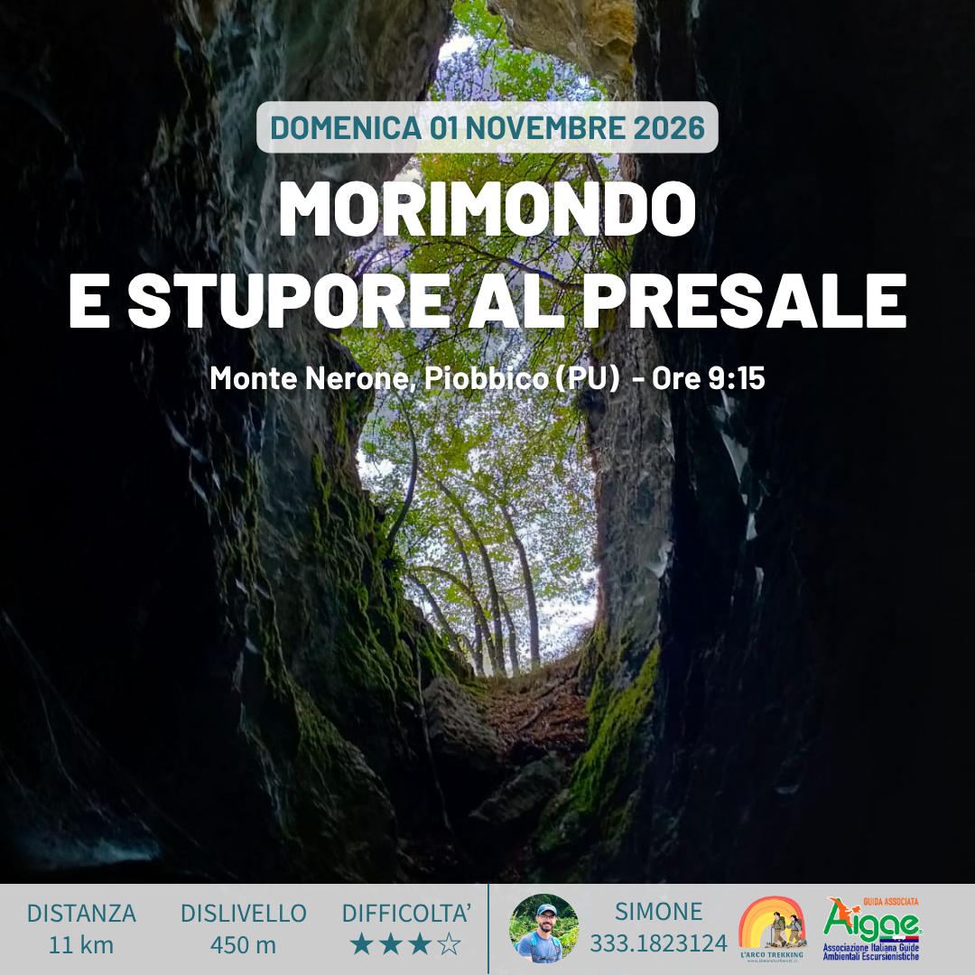 Morimondo e stupore al Presale