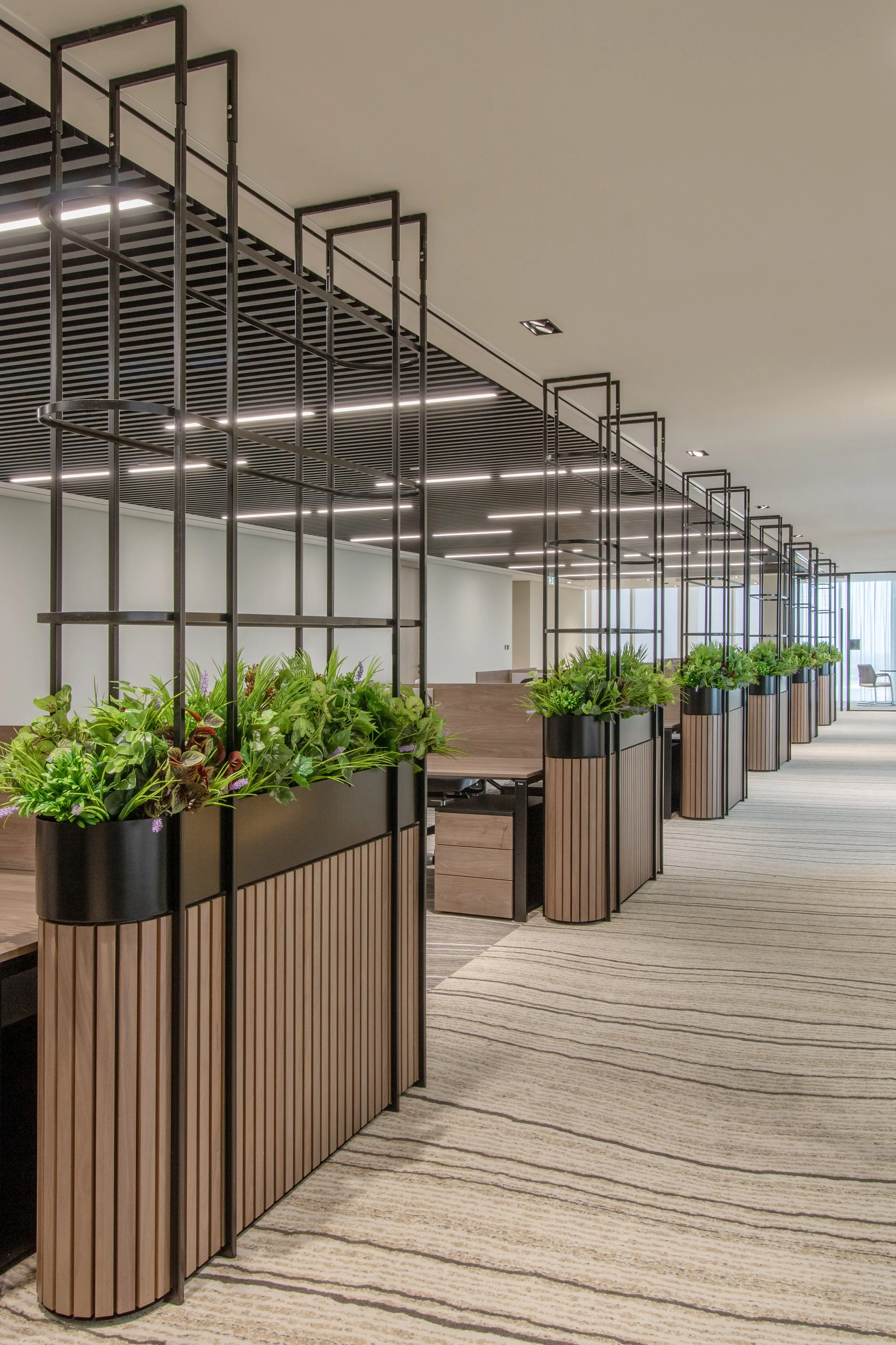 The Executive Forum