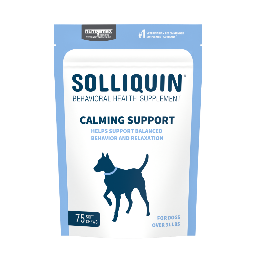 Solliquin