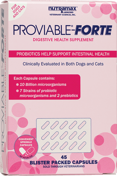 Proviable-Forte-45ct-Capsule-Carton.png