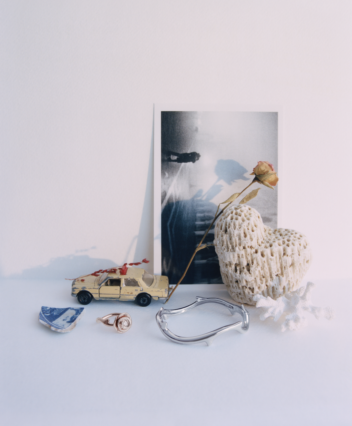 Lustre for life by David Abrahams