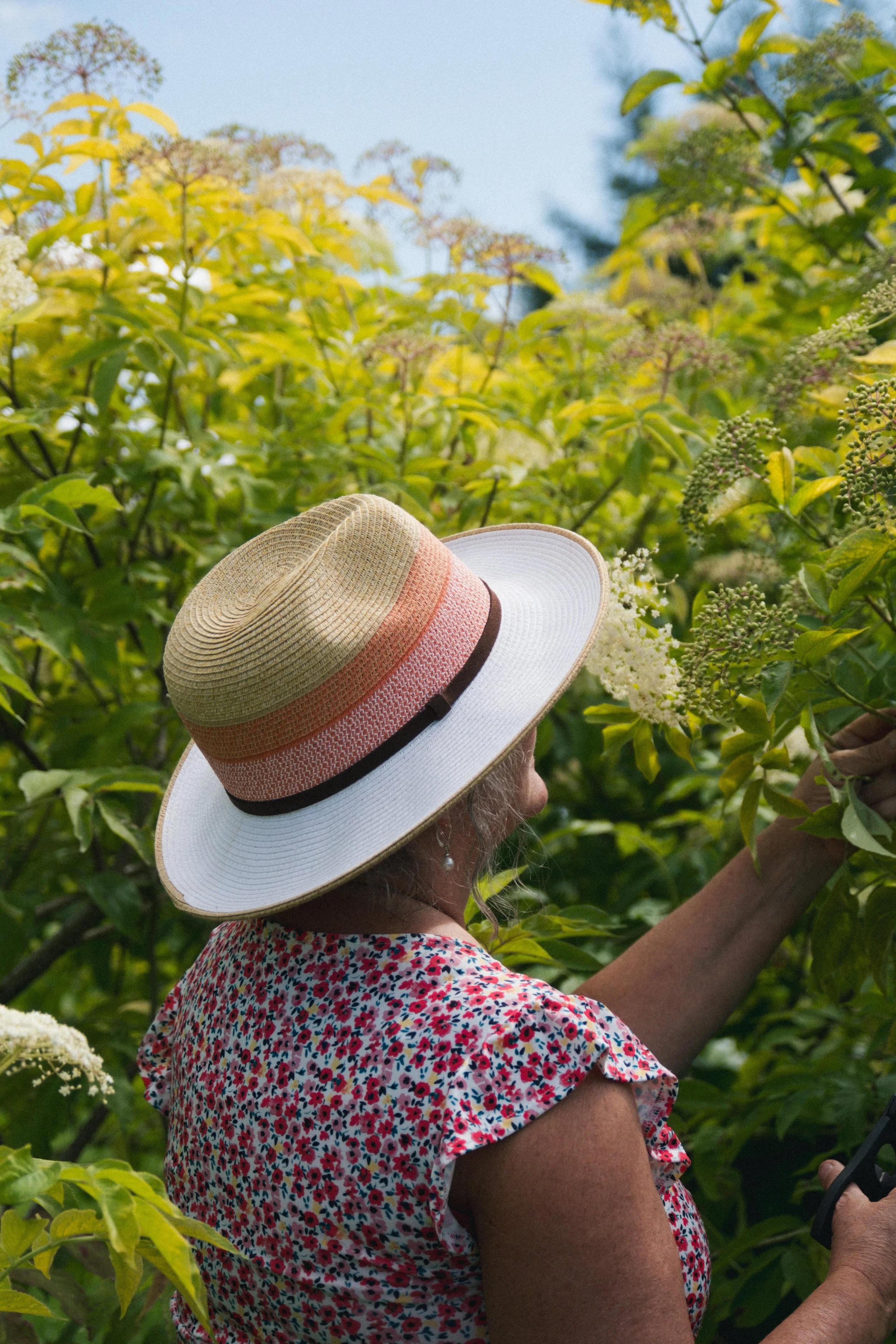 Une femme portant un chapeau large et un vêtement à motifs floraux, cueillant des fleurs ou des feuilles dans un jardin ou une plantation verdoyante.