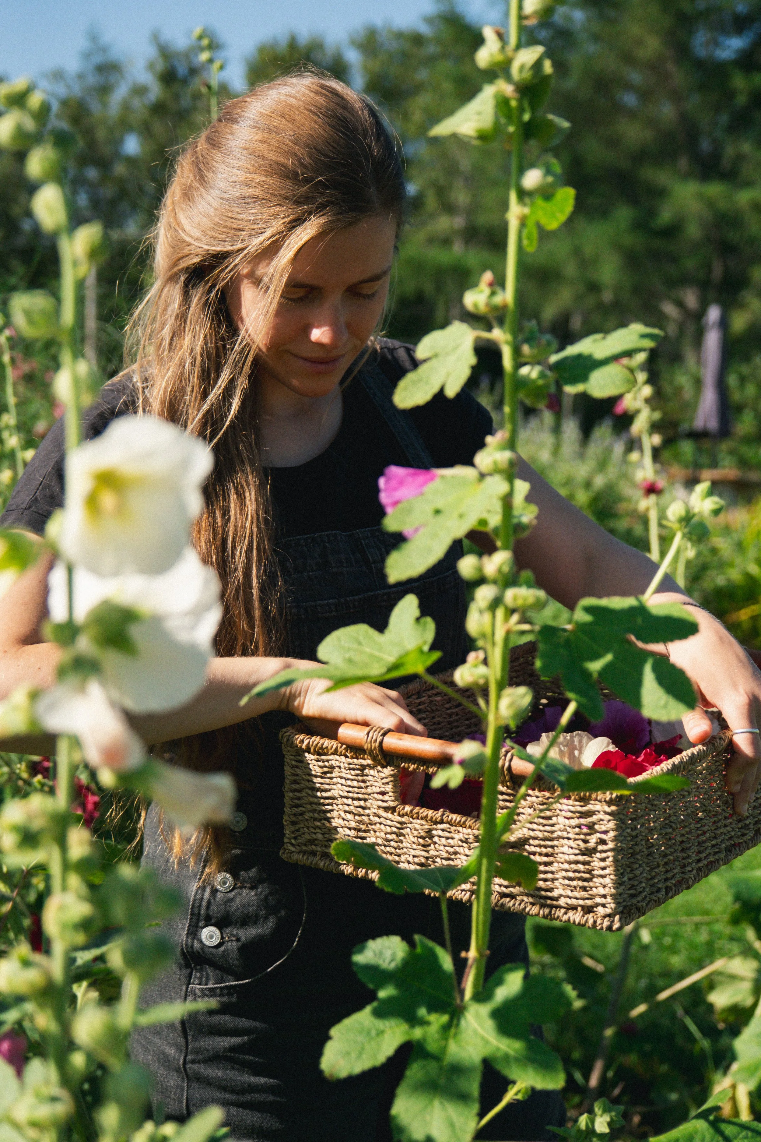 Une femme cueillant des fleurs dans un champ sous un ciel ensoleillé.