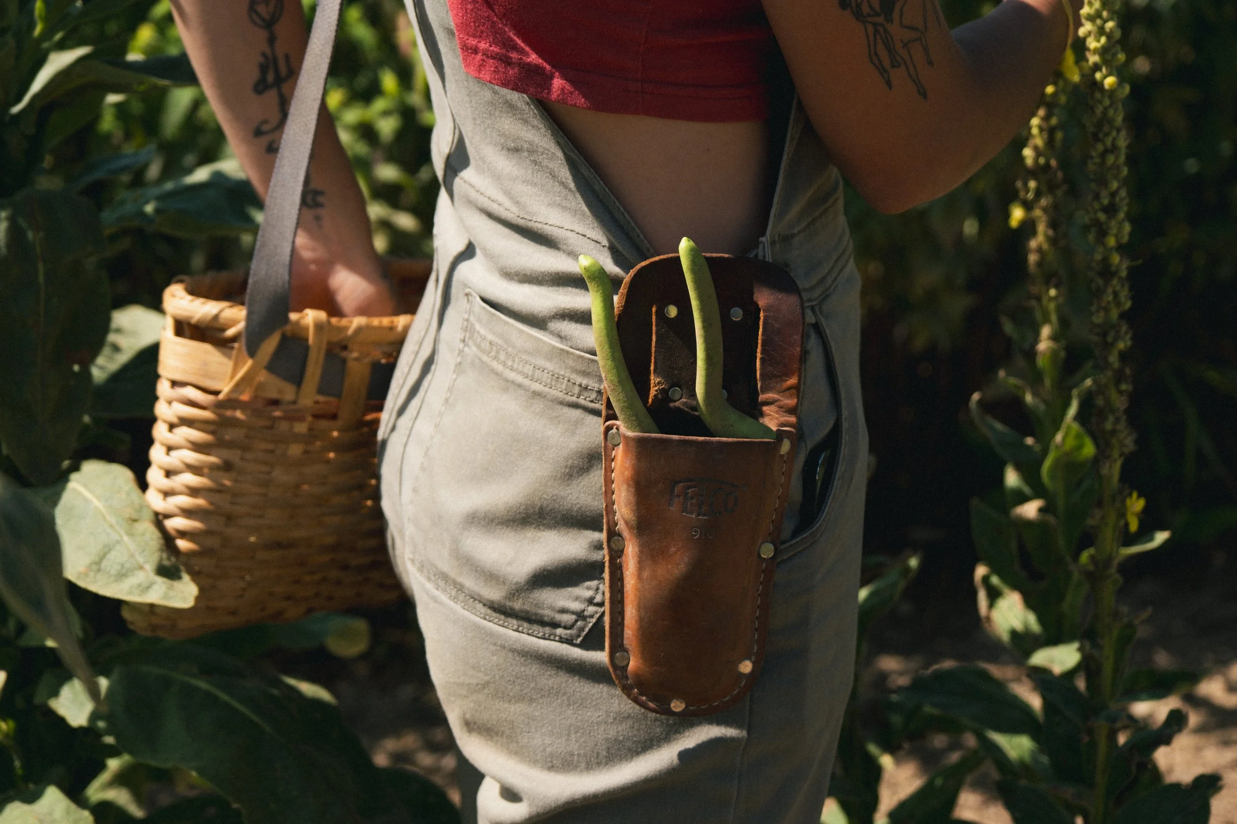 Une personne portant un pantalon gris, un pull rouge et ayant un sac en osier. Elle a une poche à outils avec des outil de jardinage, dont un sécateur, accroché à la taille, avec des tatouages sur le bras. La personne semble jardiner ou cueillir des 