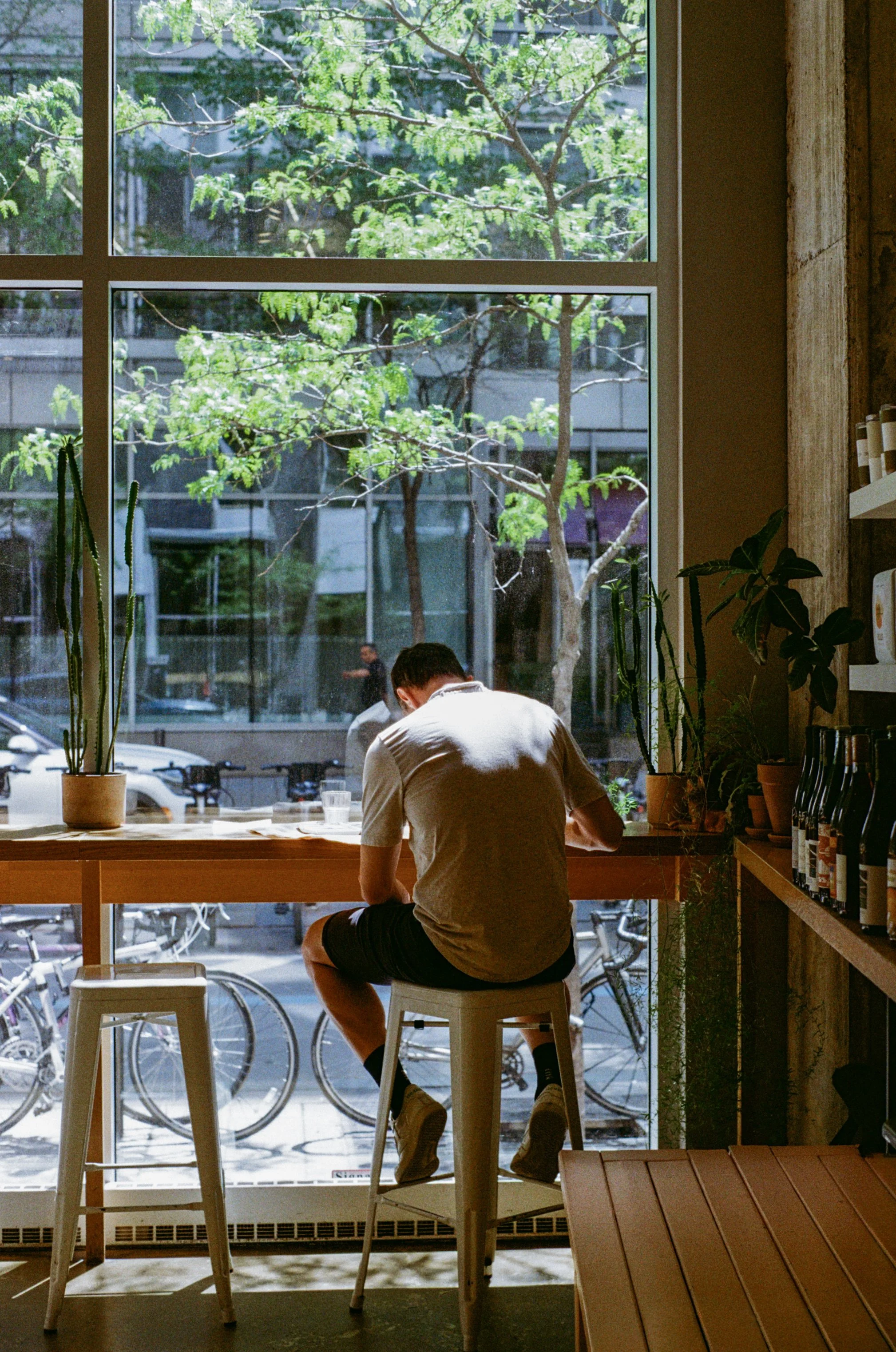 Un homme assis à un bar en bois, regardant par une grande fenêtre. À l’extérieur, on voit des arbres verts, des vélos stationnés et des bâtiments urbains. Le décor intérieur comprend des plantes en pots et des étagères avec des bouteilles.