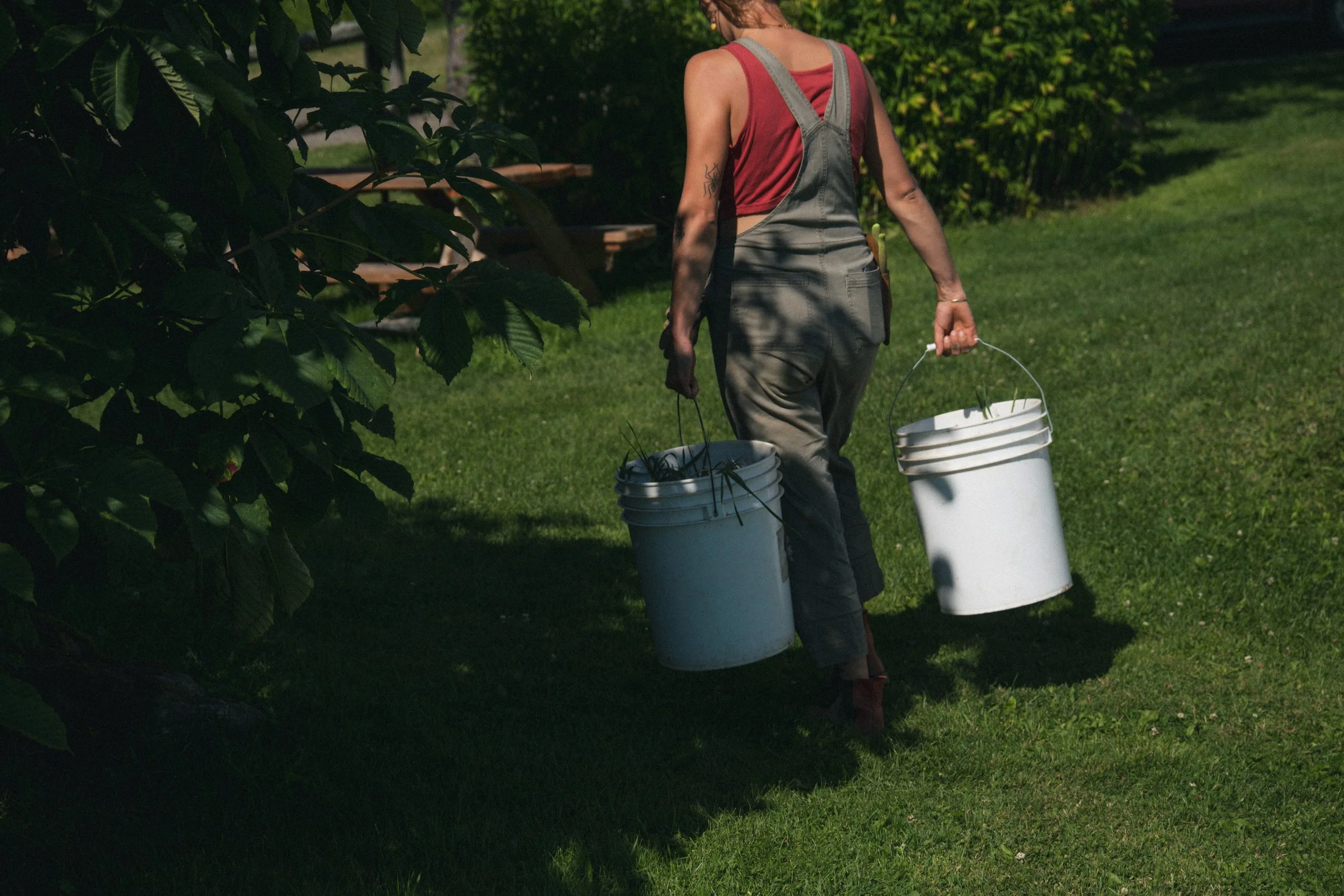 Une femme marche dans un jardin avec deux seaux, portant des vêtements décontractés, au soleil.