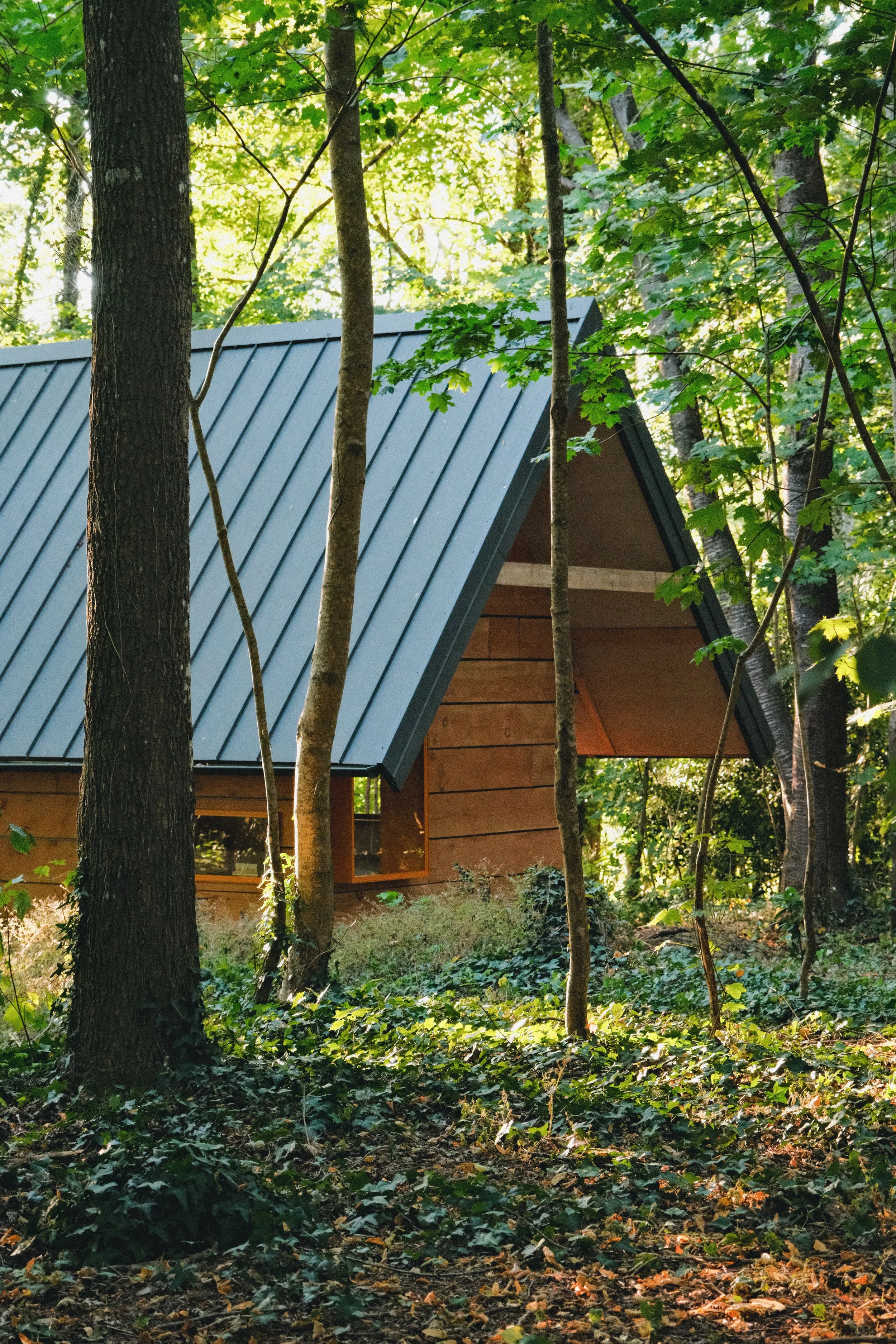 Cabane en bois dans une forêt entourée d'arbres et de feuillage vert